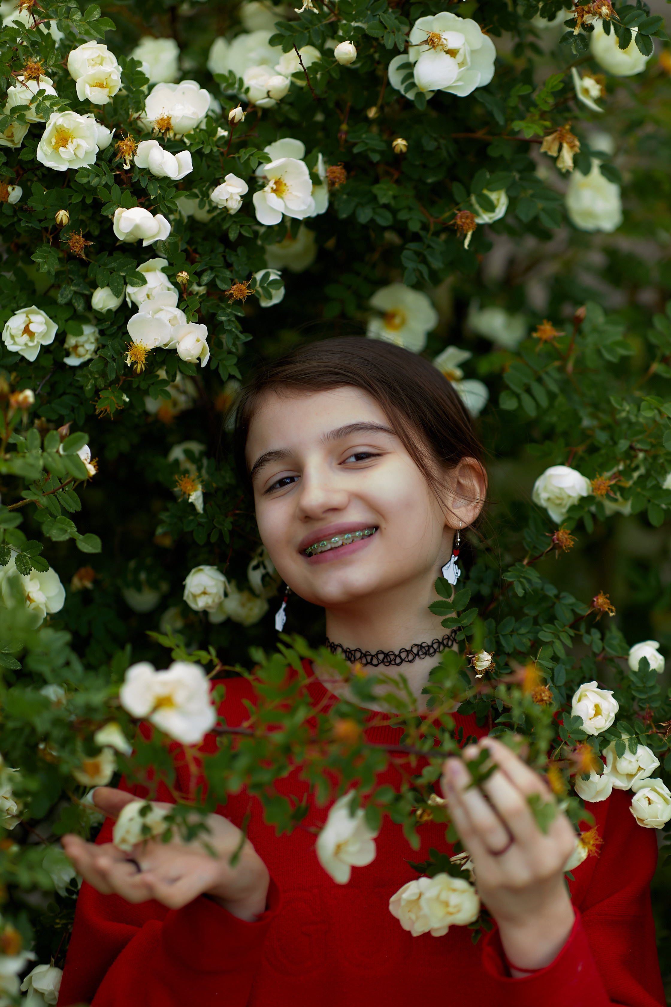 Цветение шиповник. Семейный и детский фотограф в Ярославле Юлия Галашина