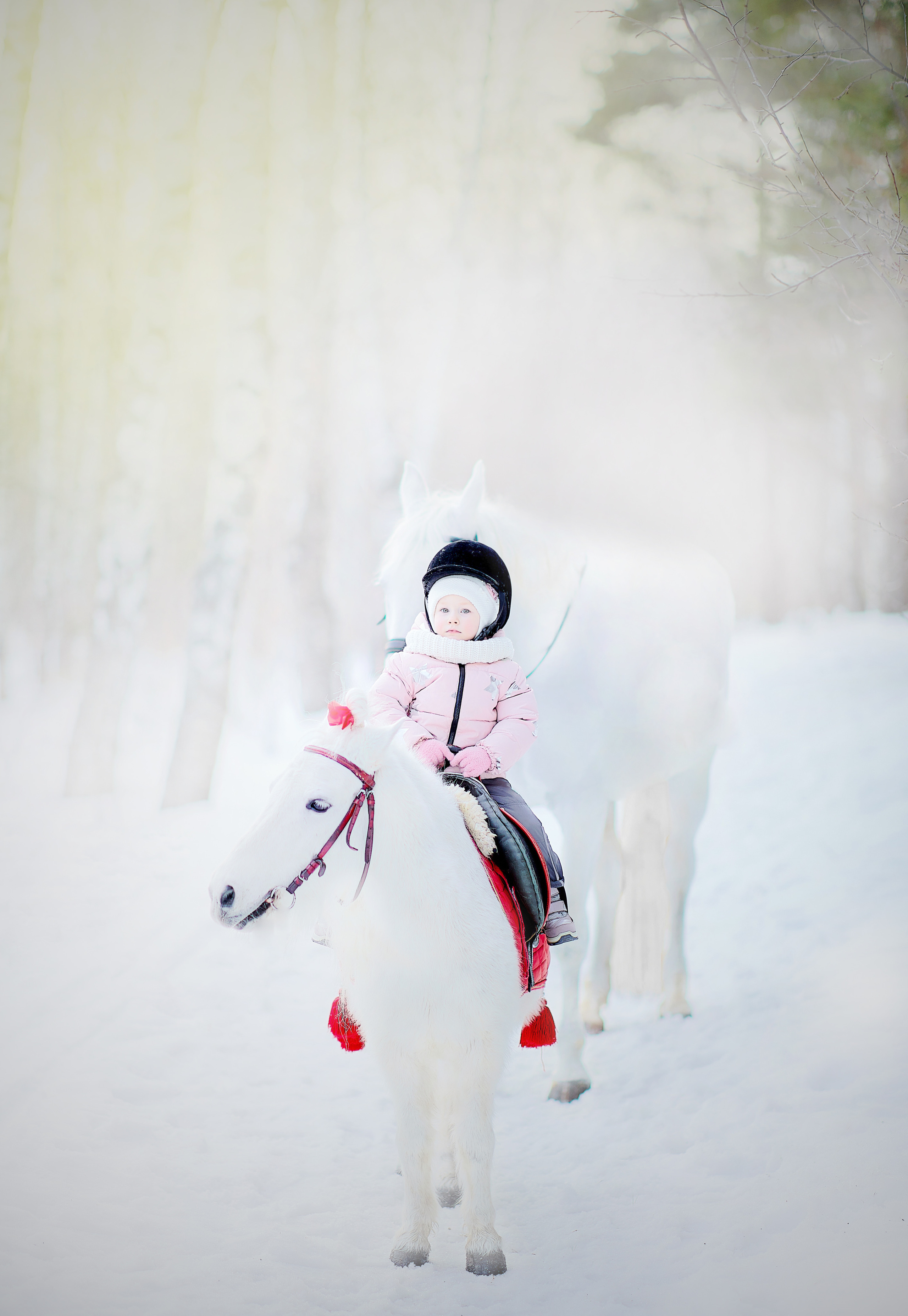 Верхом на лошади. Семейный и детский фотограф в Ярославле Юлия Галашина