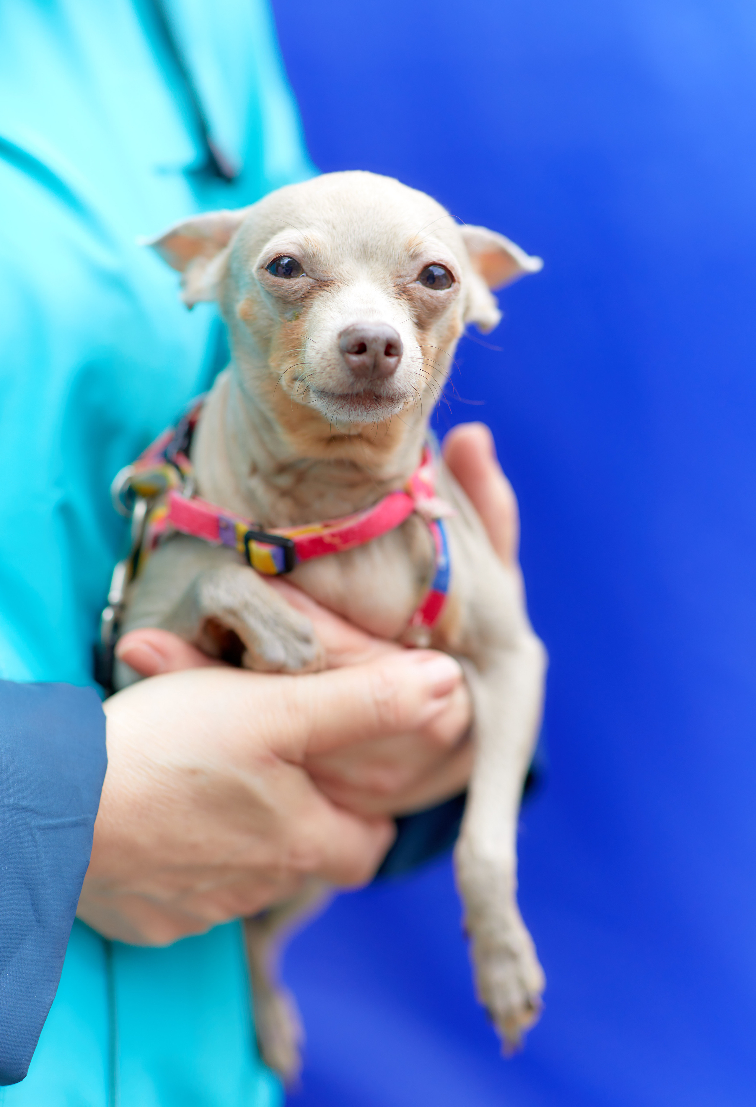 День Рождение студии Нептун. Семейный и детский фотограф в Ярославле Юлия Галашина