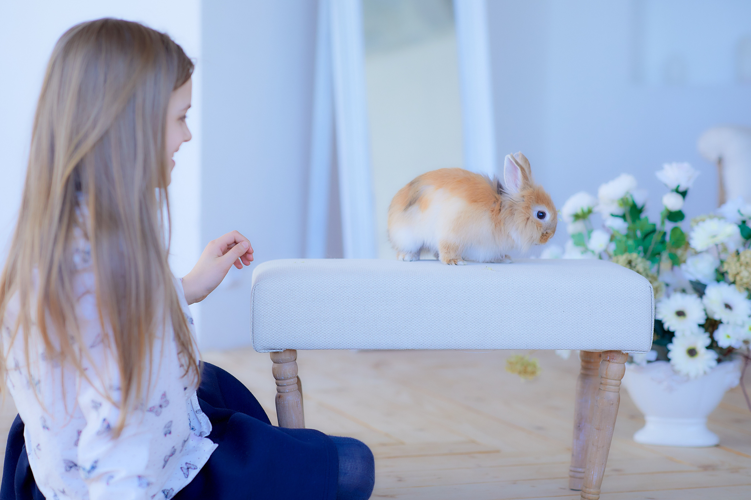 Настя и кролик Крош. Семейный и детский фотограф в Ярославле Юлия Галашина