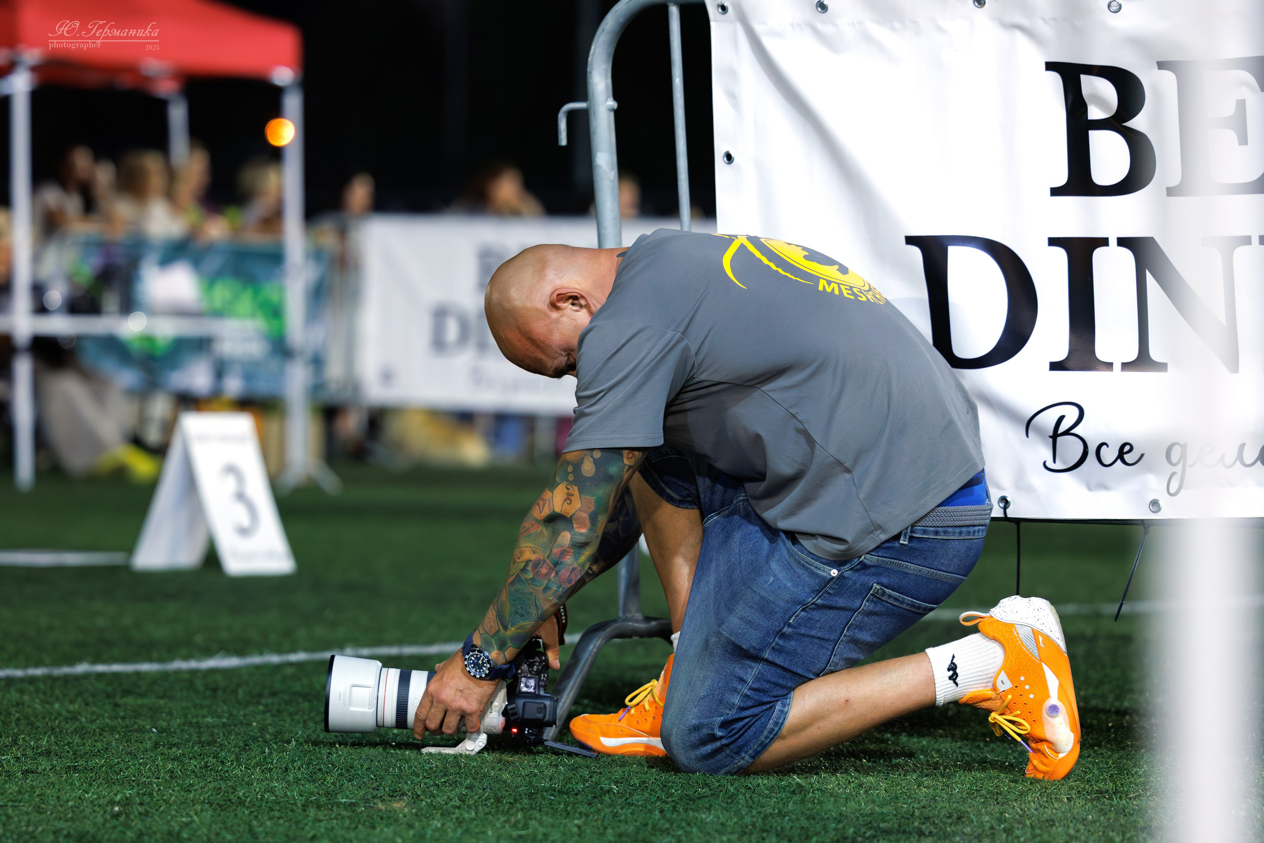 Калининград 25-27.07 Волгоград 1-3.08 2025. Фотограф-анималист Юлия Германика