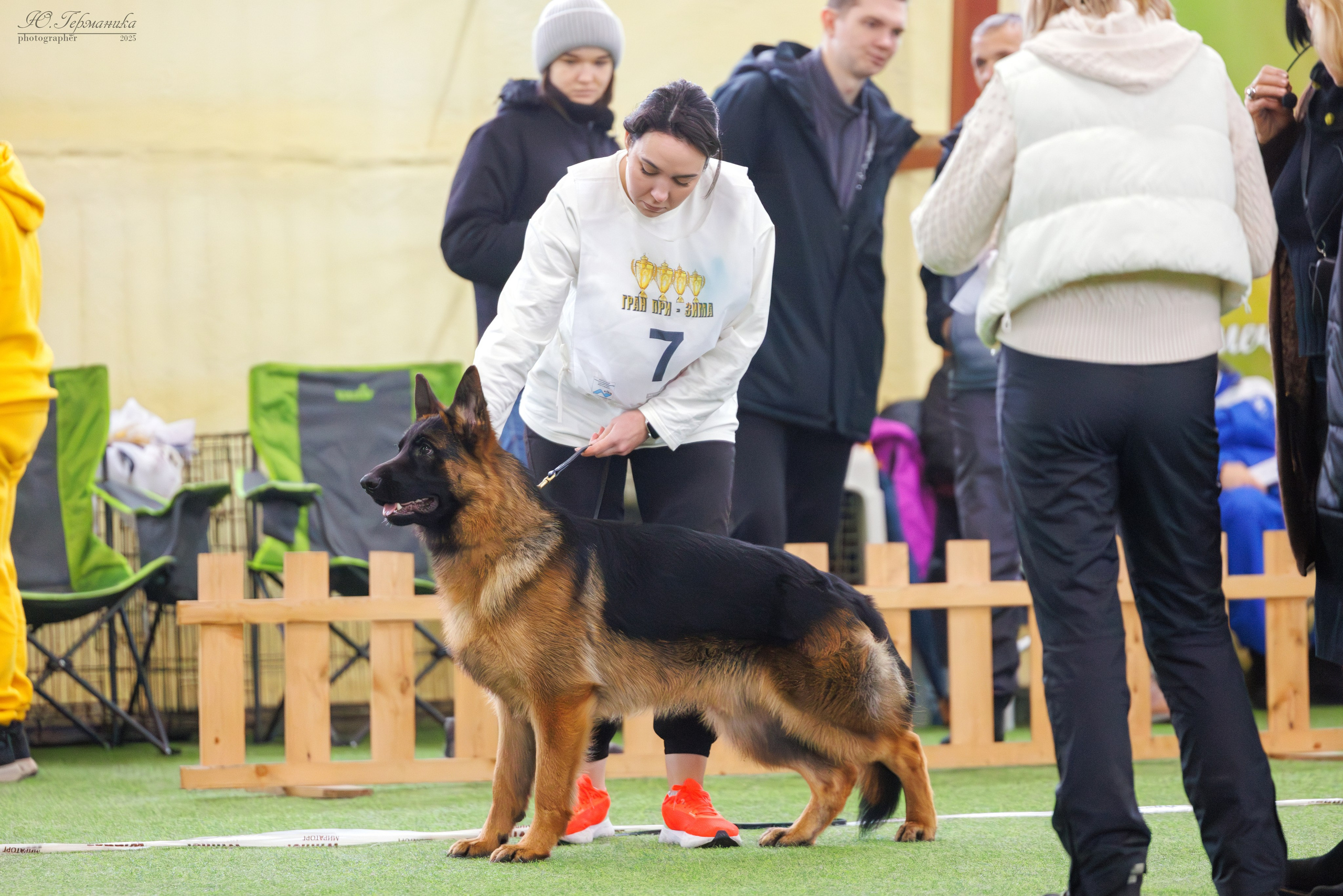 Гран-При 8.02.2025 и Крокус 09.02.2025. Фотограф-анималист Юлия Германика