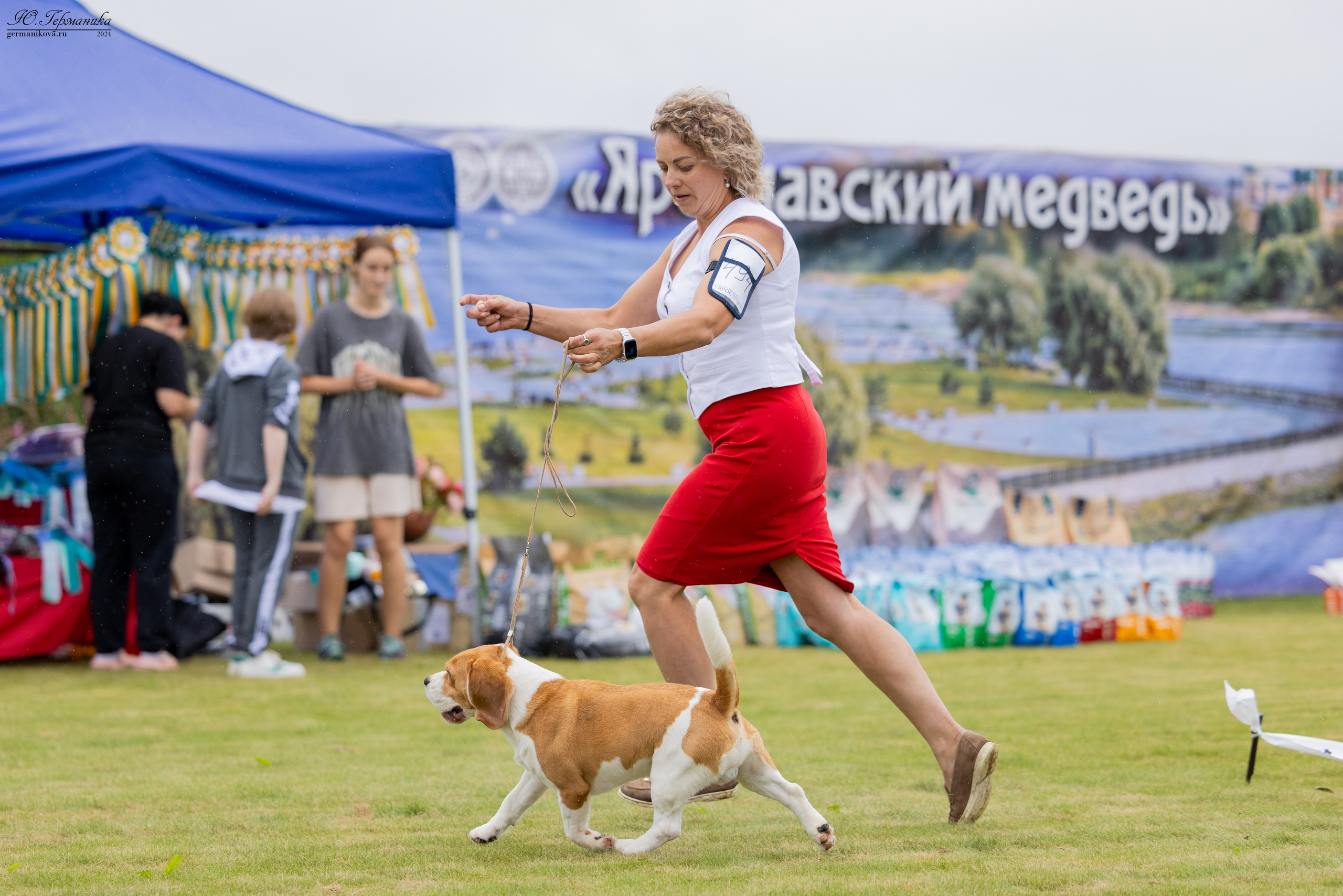 Ярославль 21.07.24 и Балашиха 13.07.24. Фотограф-анималист Юлия Германика