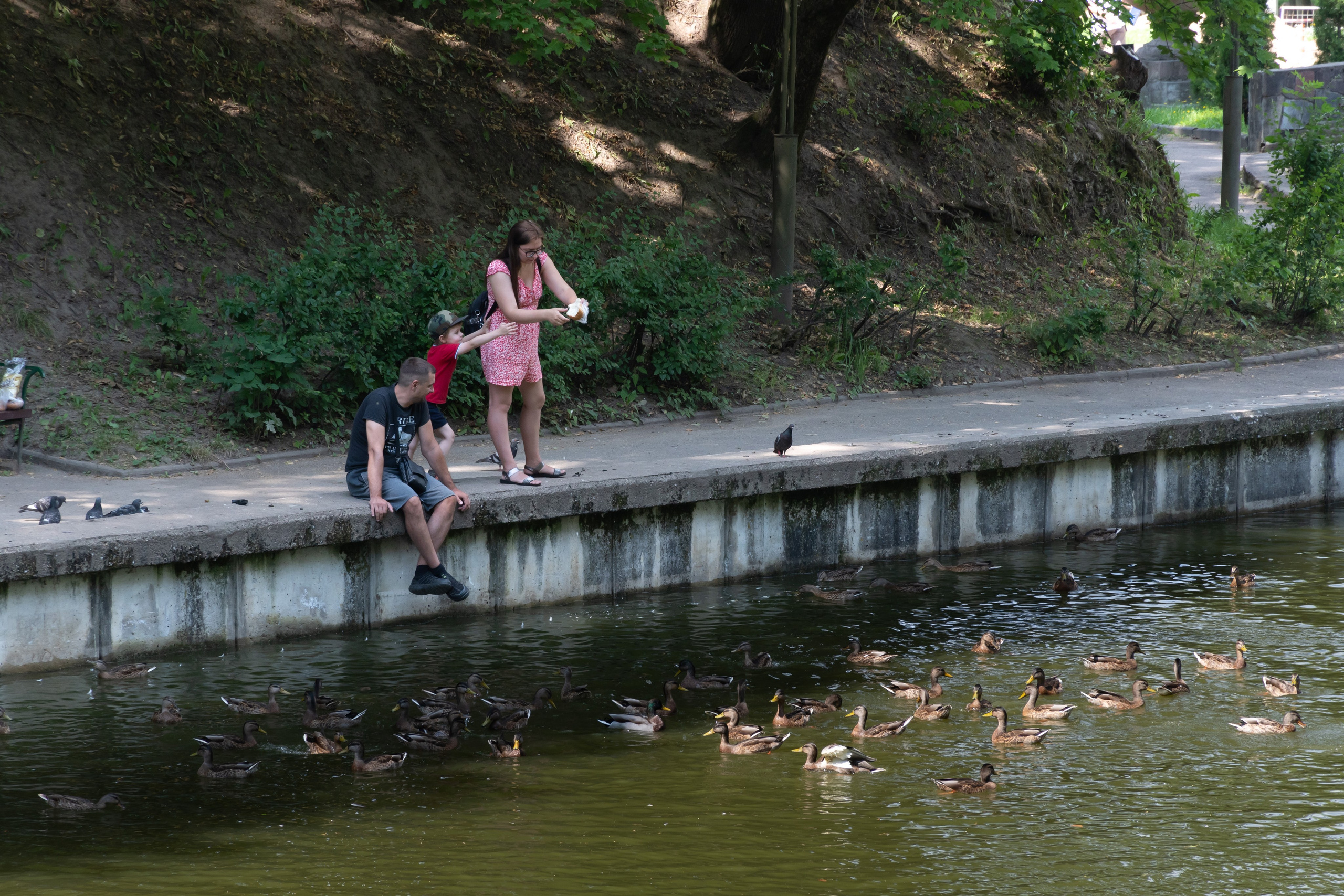 20220803-04 Смоленск. Дмитрий Ремизов. Фотография, как хобби