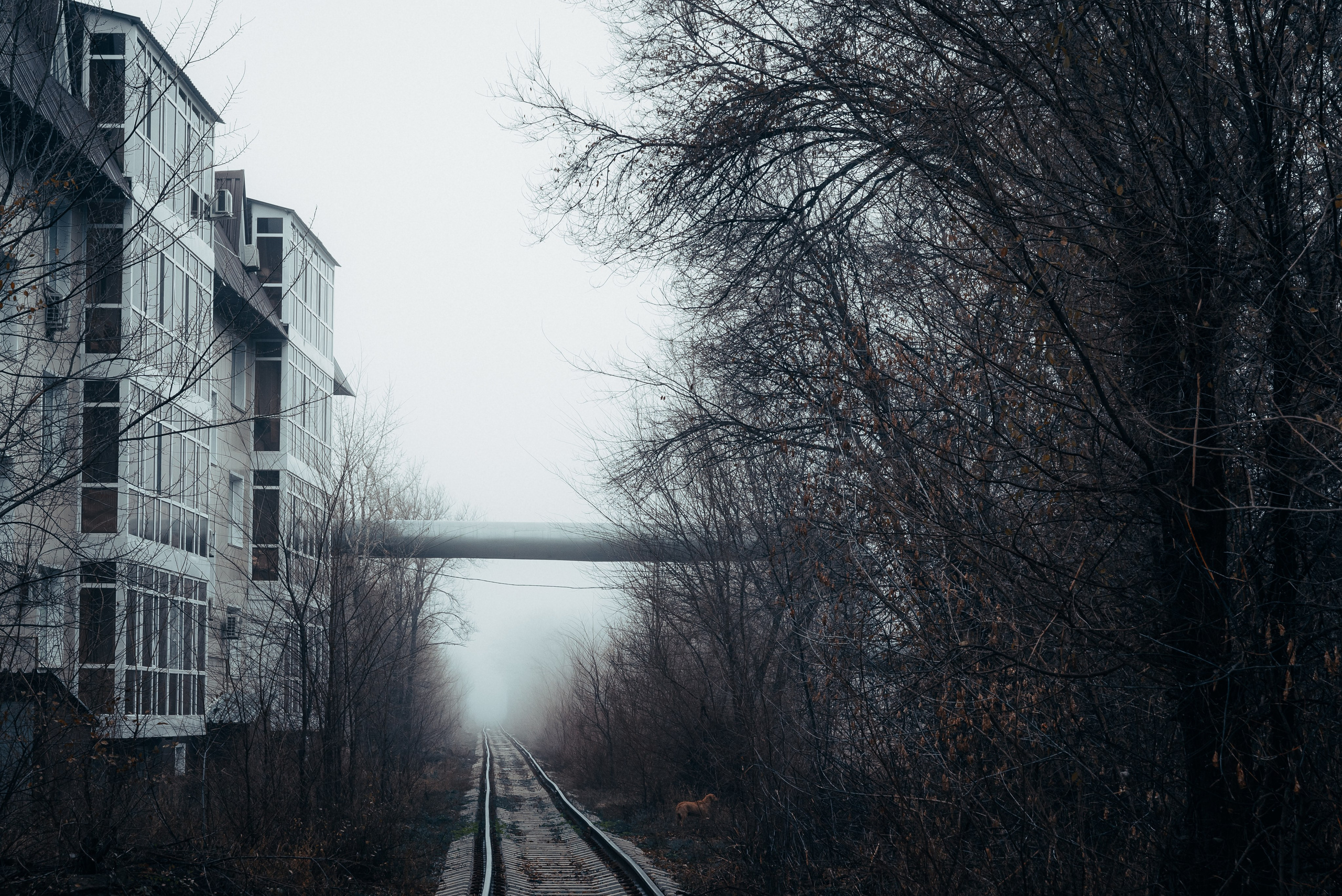 Пейзажи. Фотограф в Уральске | Трищенков Гордей