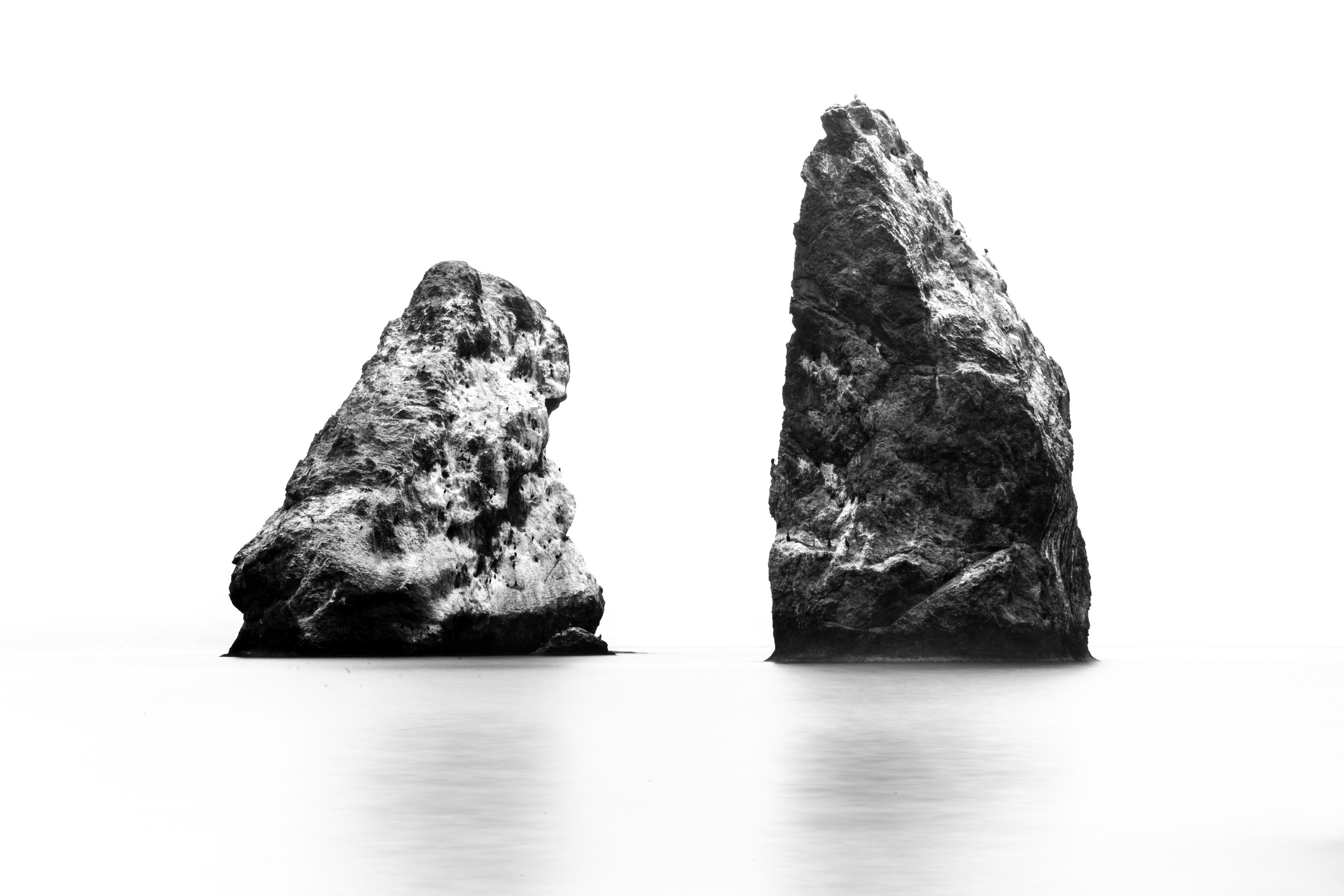 Природа. Глеб Захаренко — спортивный и репортажный фотограф в Крыму