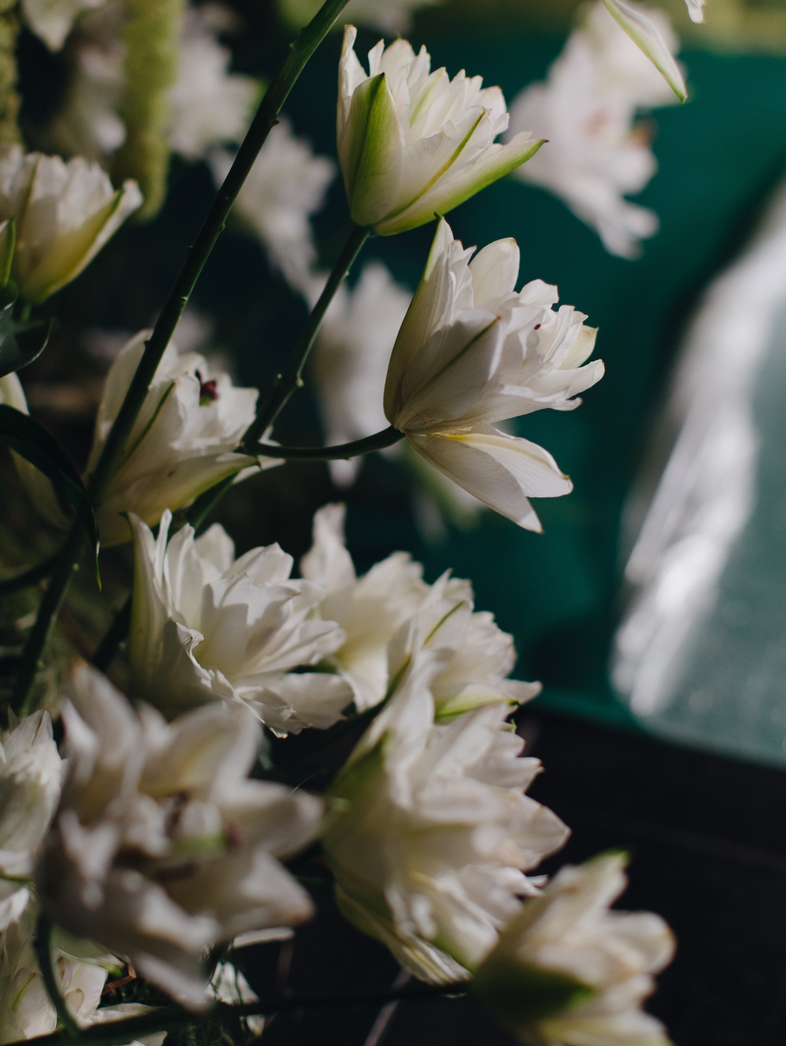 Павел и Ульяна. Свадебный фотограф Москва Европа Мария Коренчук