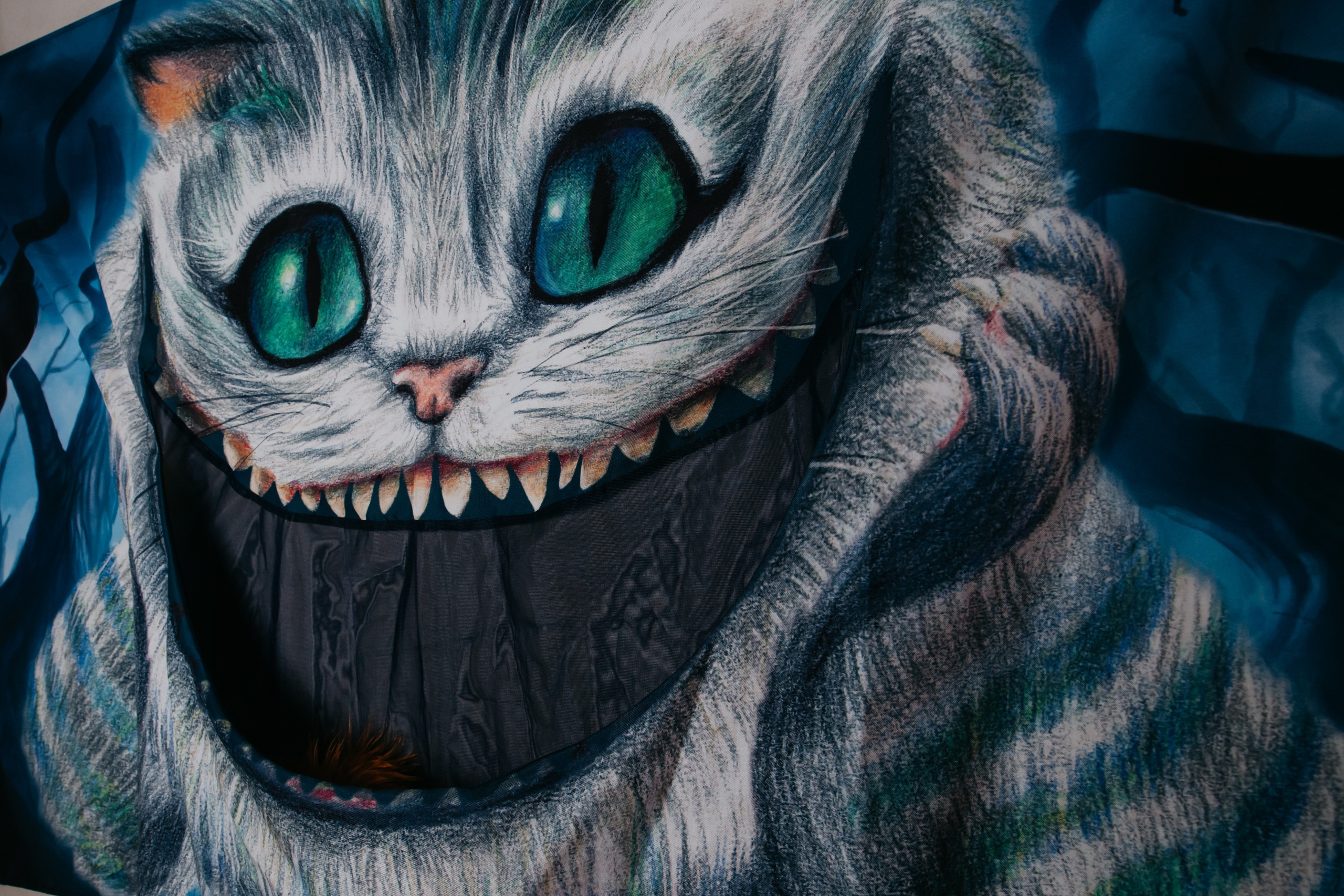 Любаша, В Стране Чудес!. Фотограф ваших событий