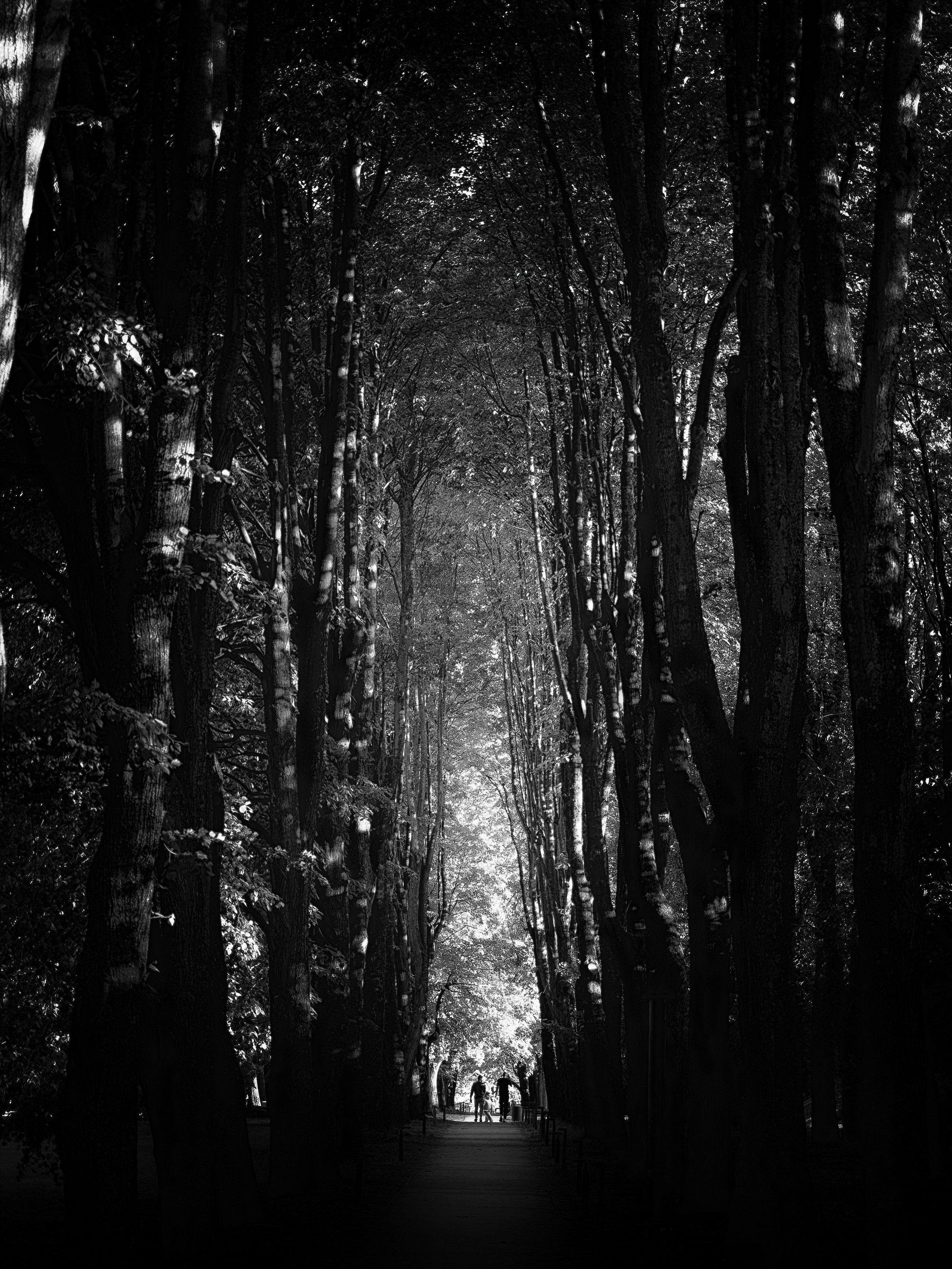 Улица и пейзаж. Oles Paritskiy