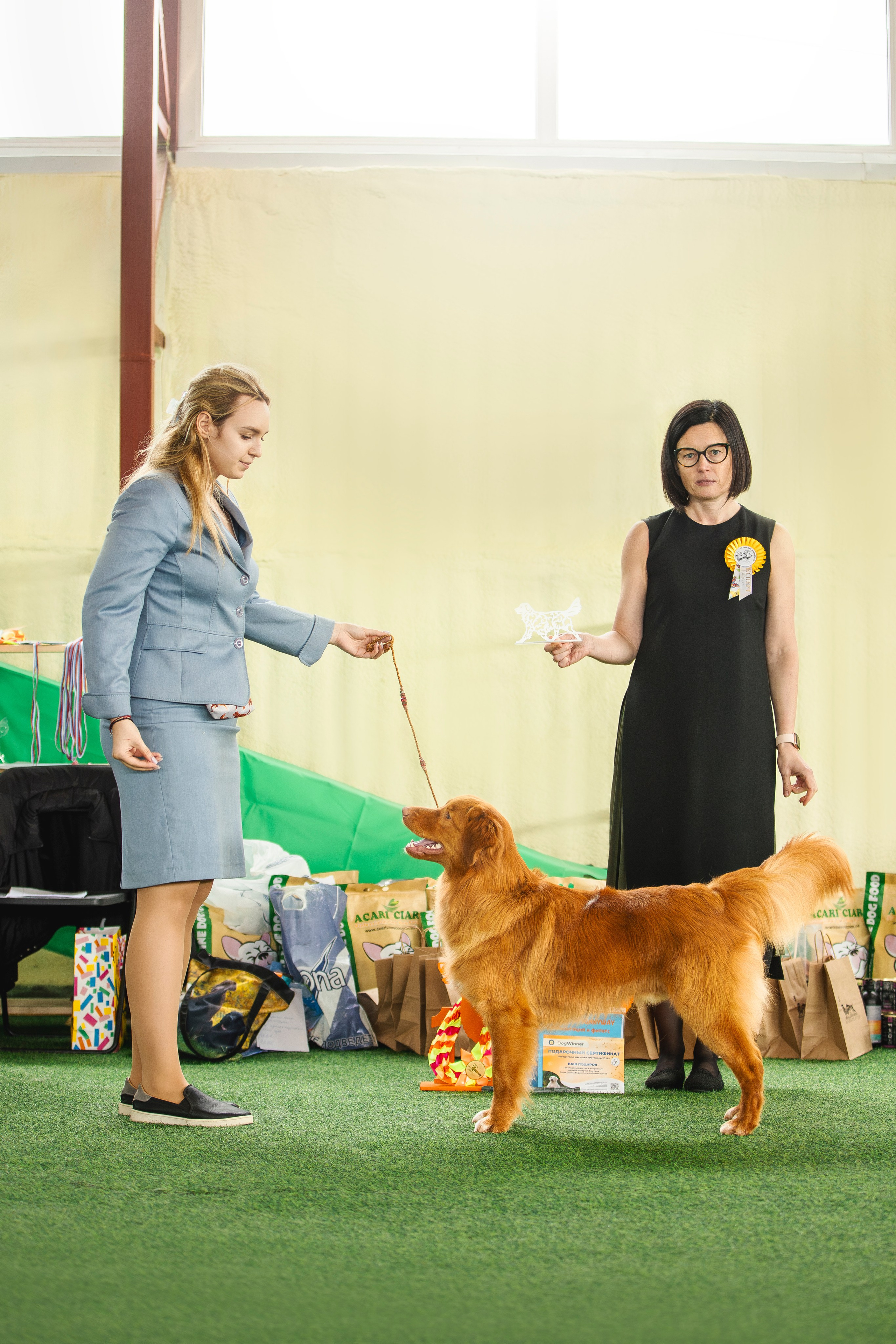 Толлер Орландо (Выставка). Фотограф анималист в Москве Майорова Евгения