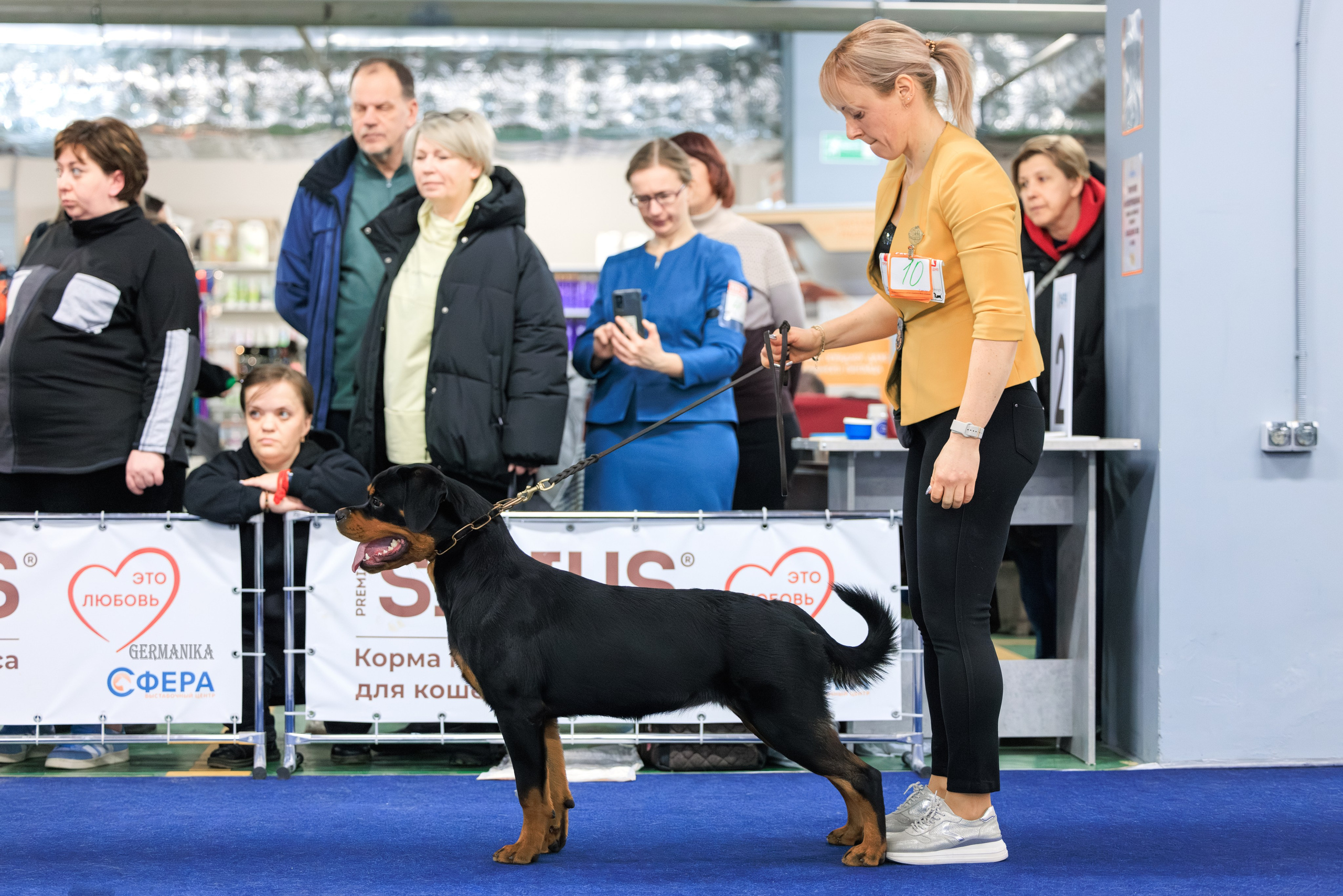 Сфера 08 и 10.03.2024 2хмоно ротвейлеров+2хмоно сао. Фотограф-анималист Юлия Германика