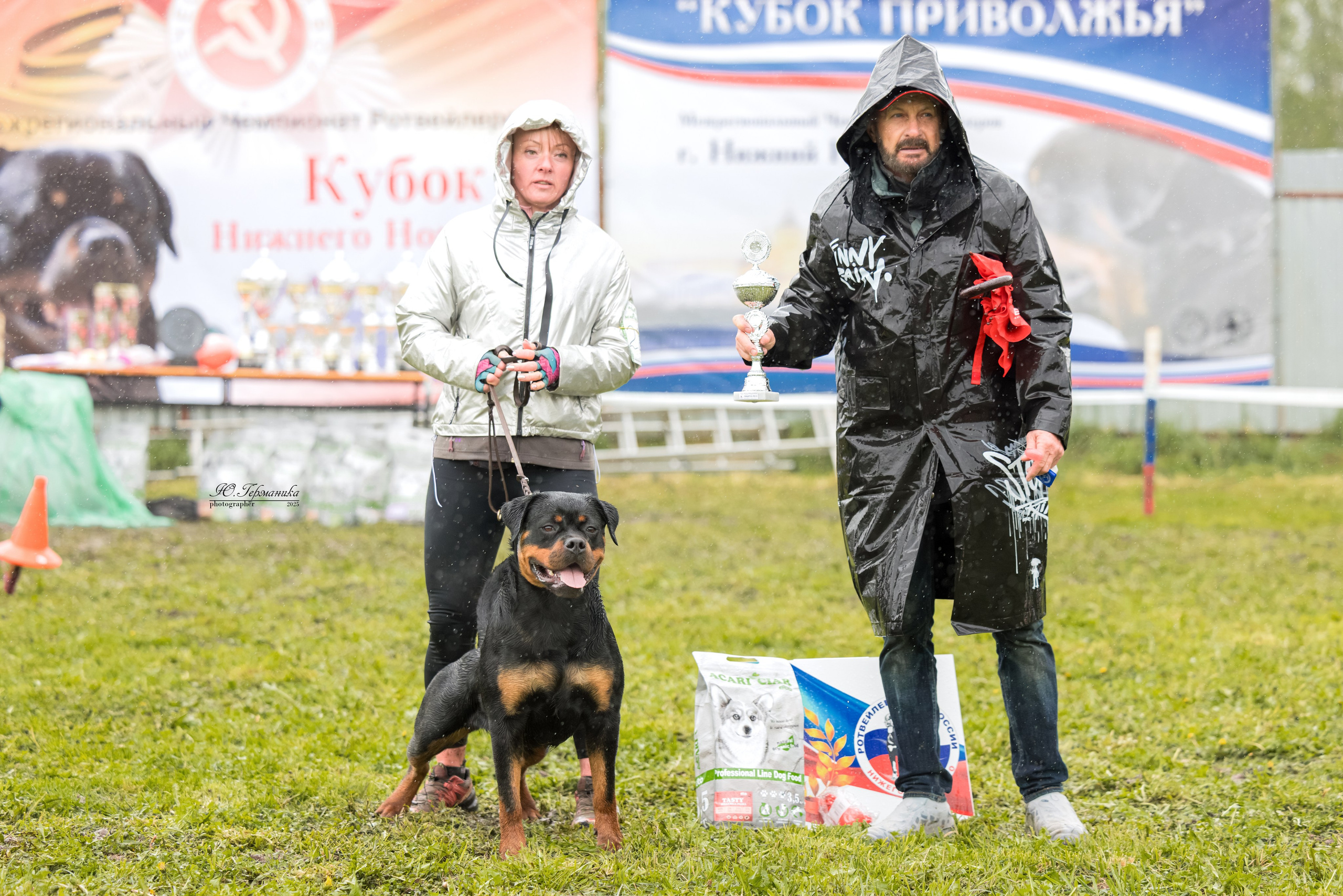 Нижний Новгород 2хмоно ротвейлеров 10-11.05.2025. Фотограф-анималист Юлия Германика