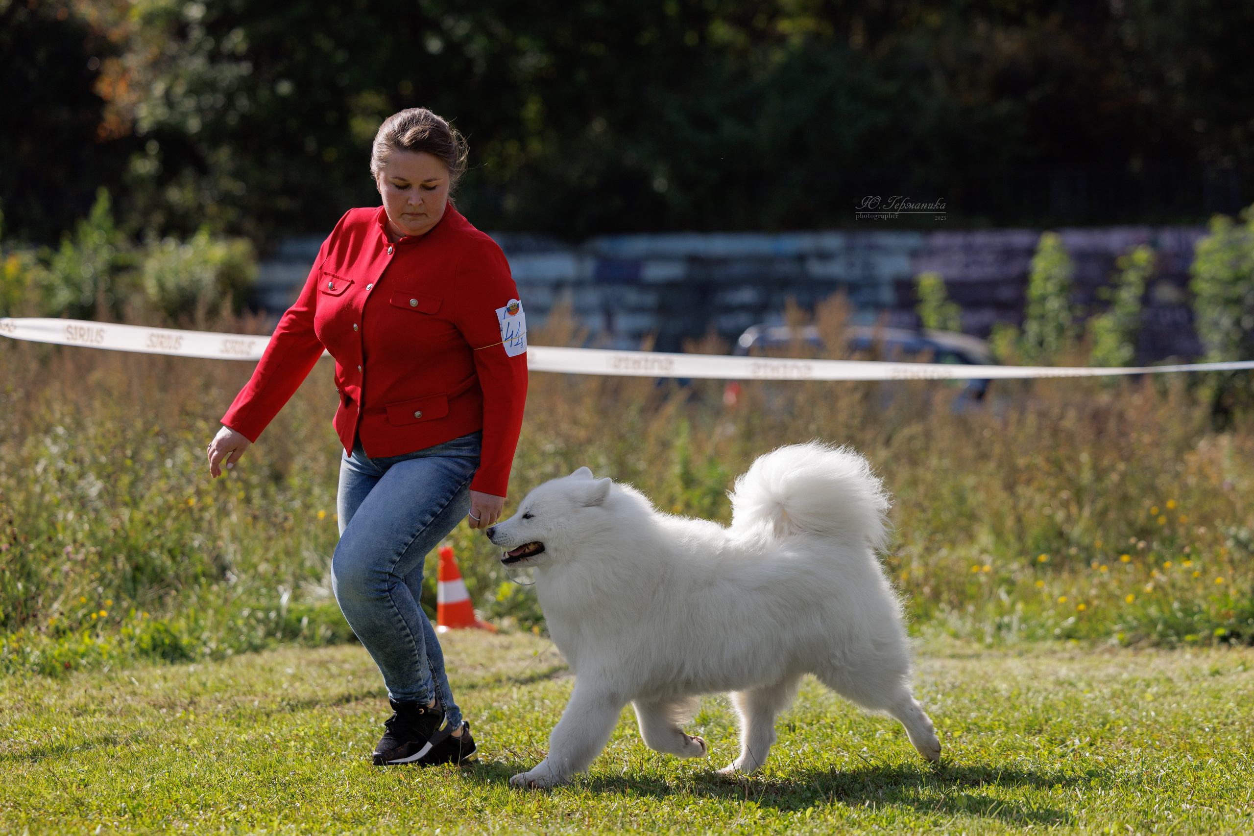 Зеленоград 13.09.2025. Фотограф-анималист Юлия Германика