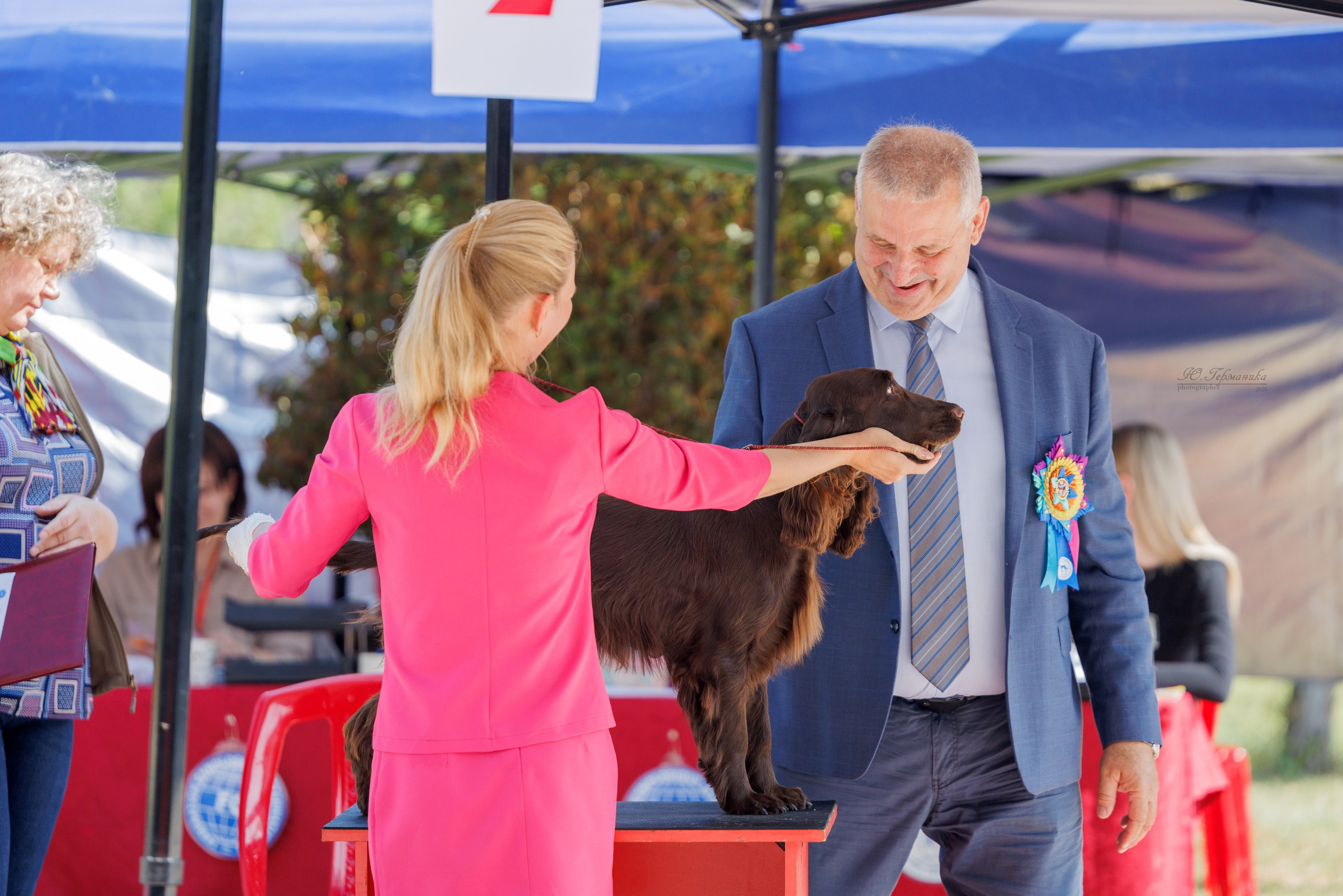 Ташкент 3хCACIB 3-5.10.2025. Фотограф-анималист Юлия Германика
