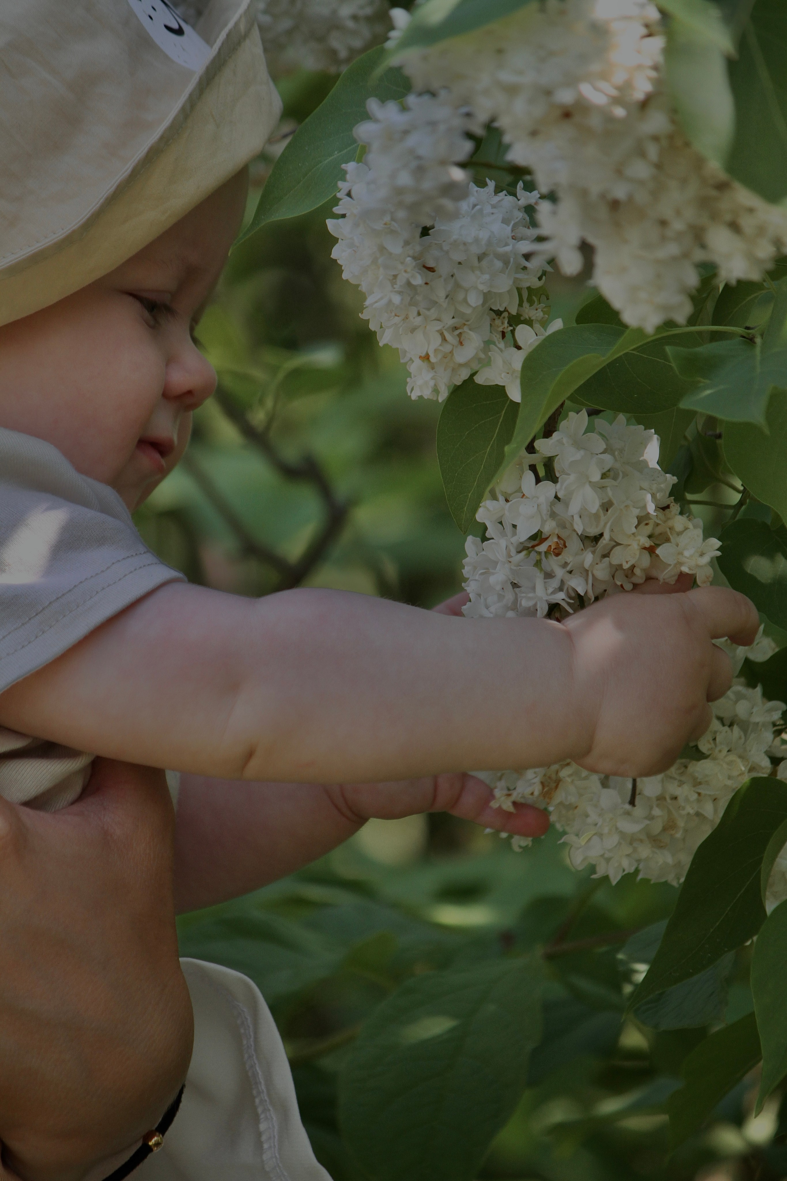 Семейная съемка