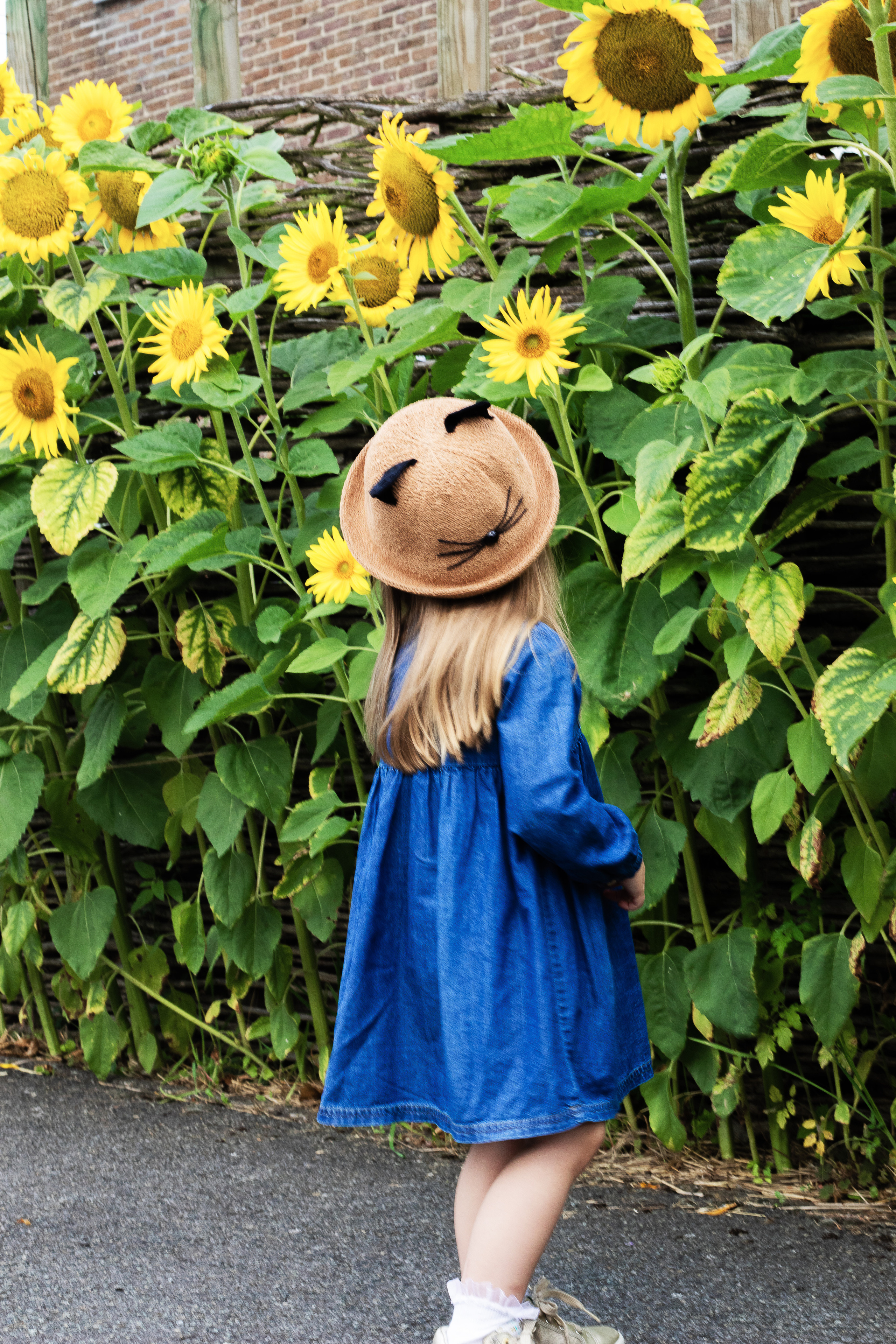 Sunflower vibes. Family, Children and Business photographer in Belgium