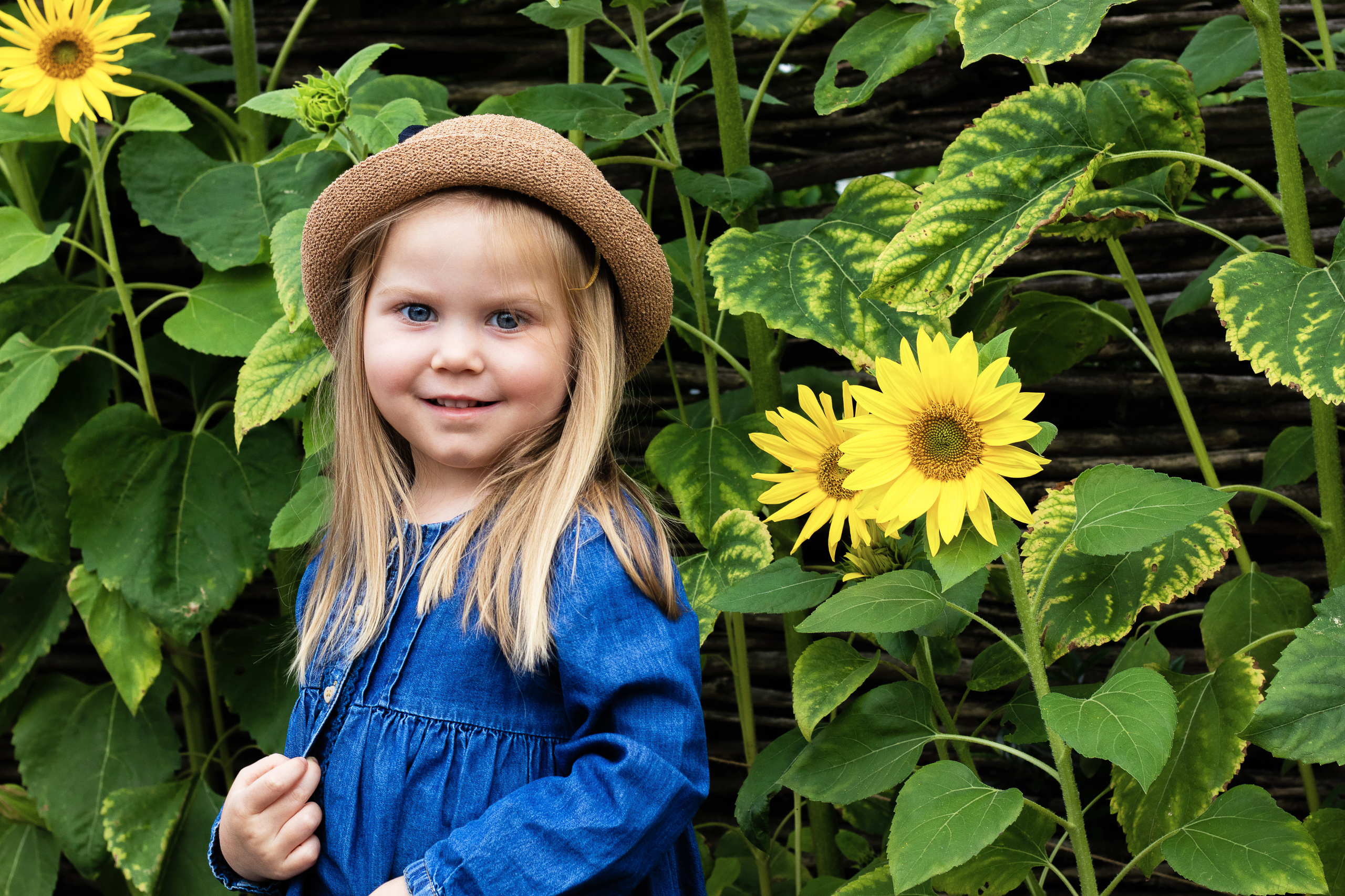 Sunflower vibes. Family, Children and Business photographer in Belgium