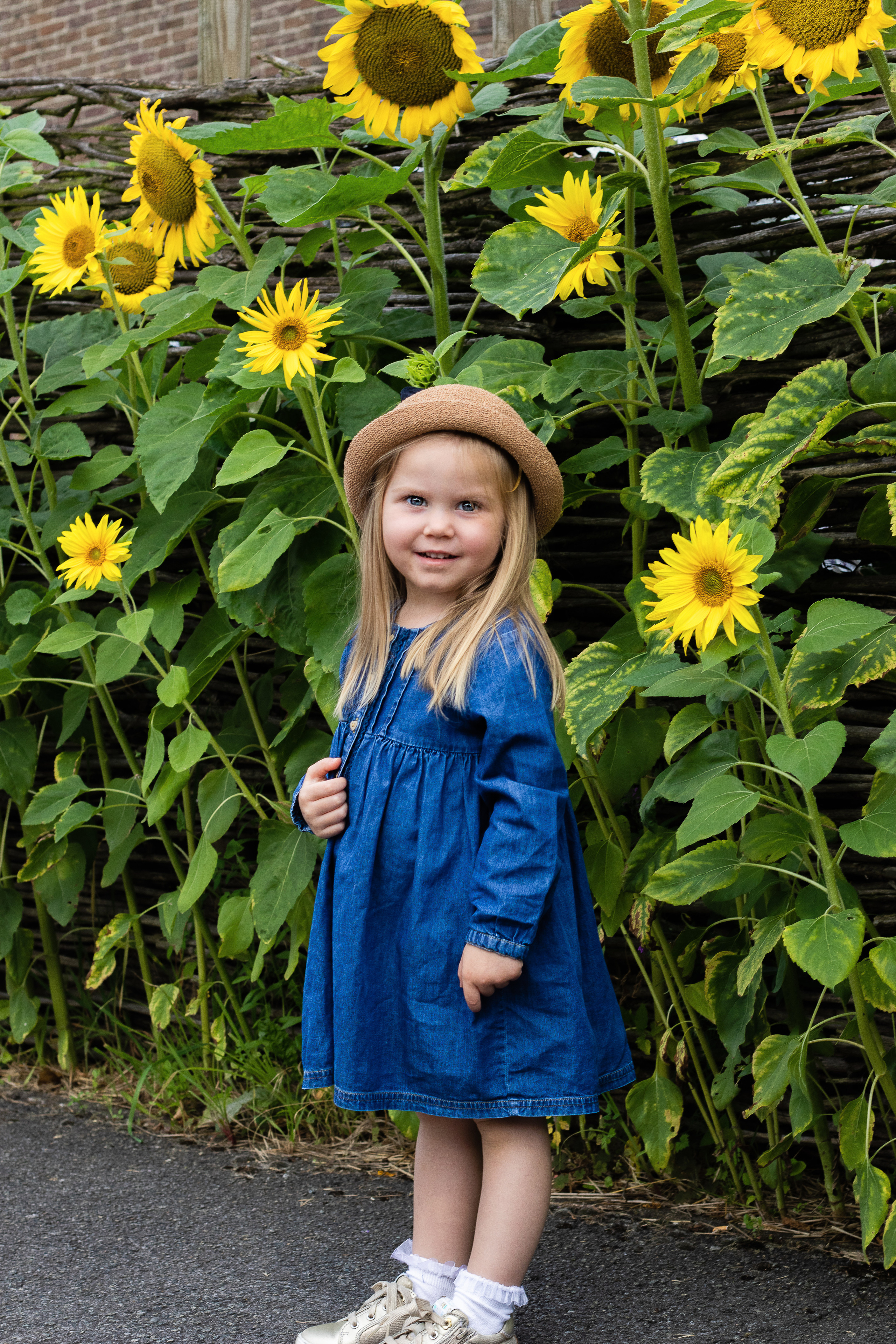 Sunflower vibes. Family, Children and Business photographer in Belgium