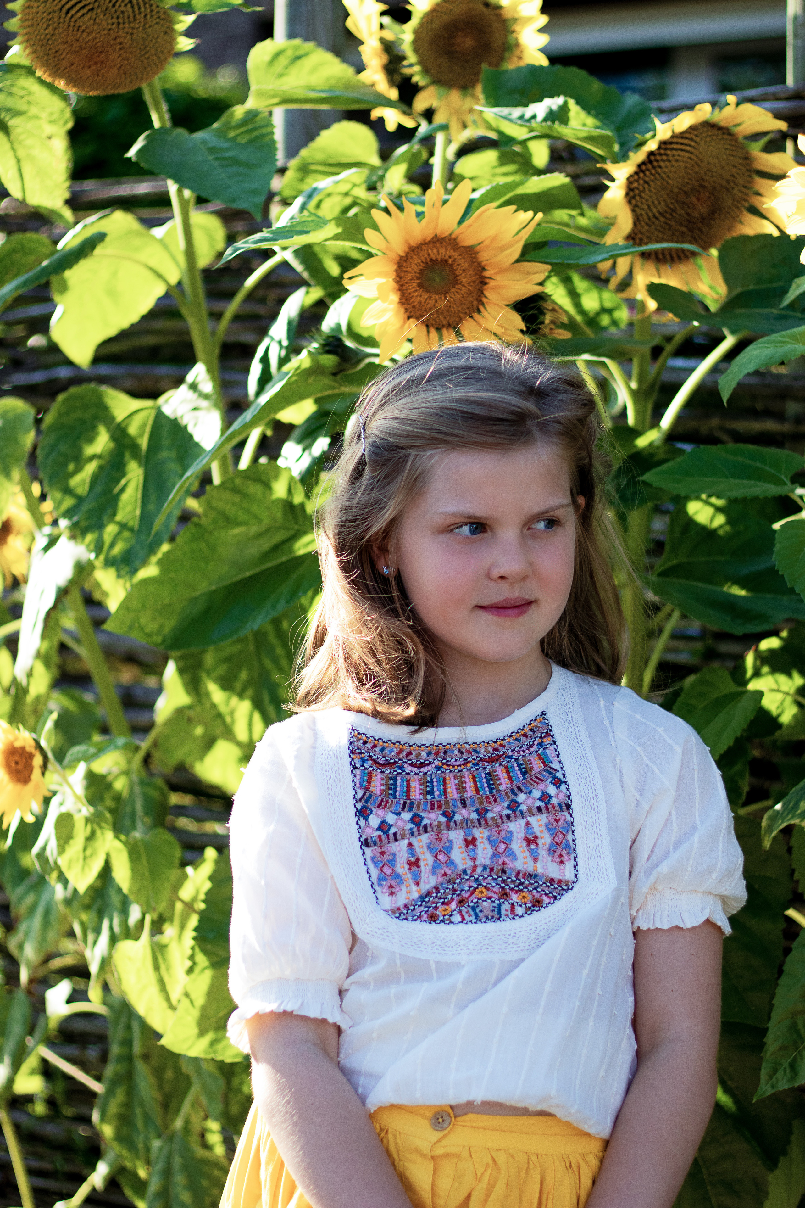 Sunflower vibes. Family, Children and Business photographer in Belgium