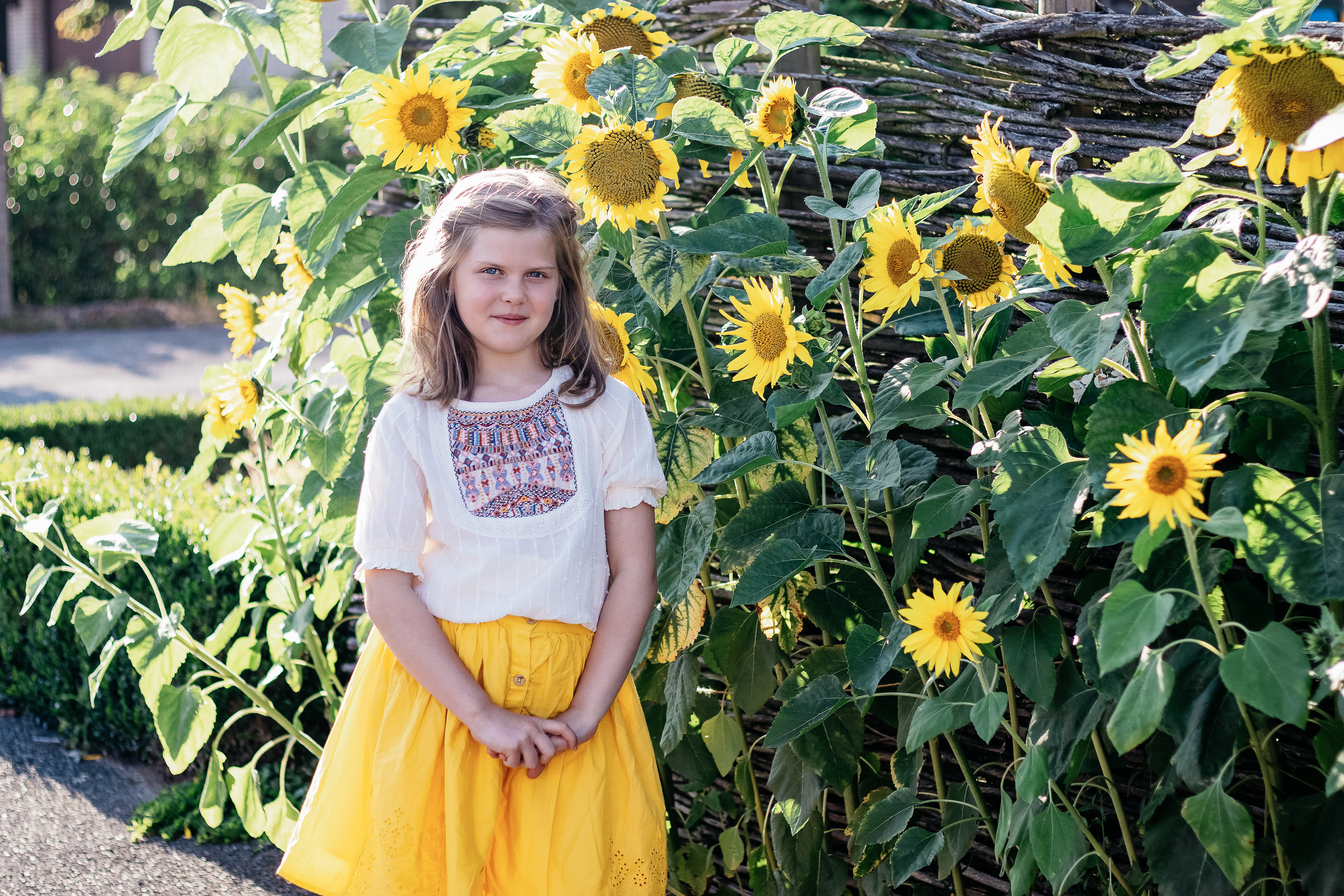 Sunflower vibes. Family, Children and Business photographer in Belgium