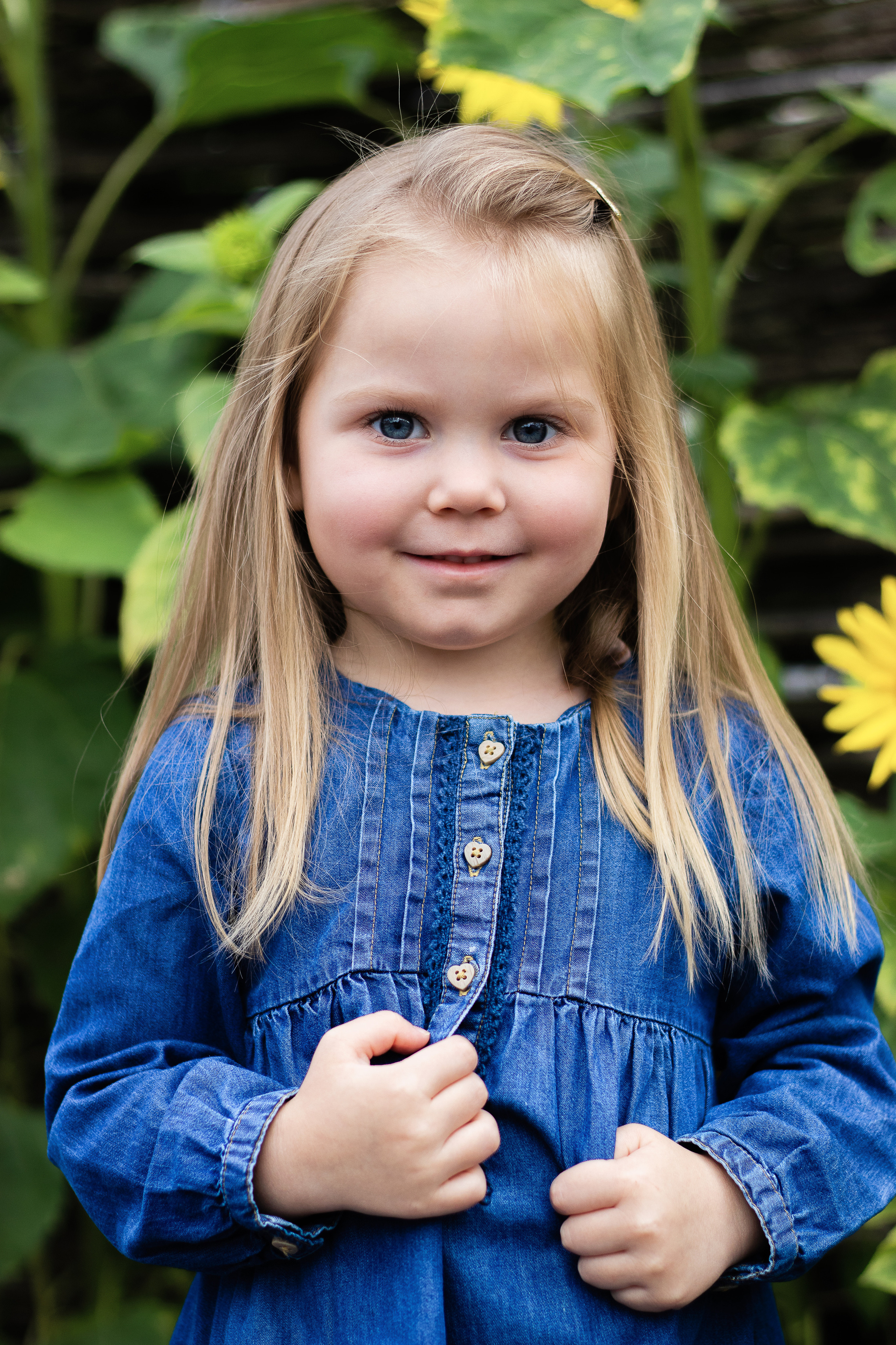 Sunflower vibes. Family, Children and Business photographer in Belgium