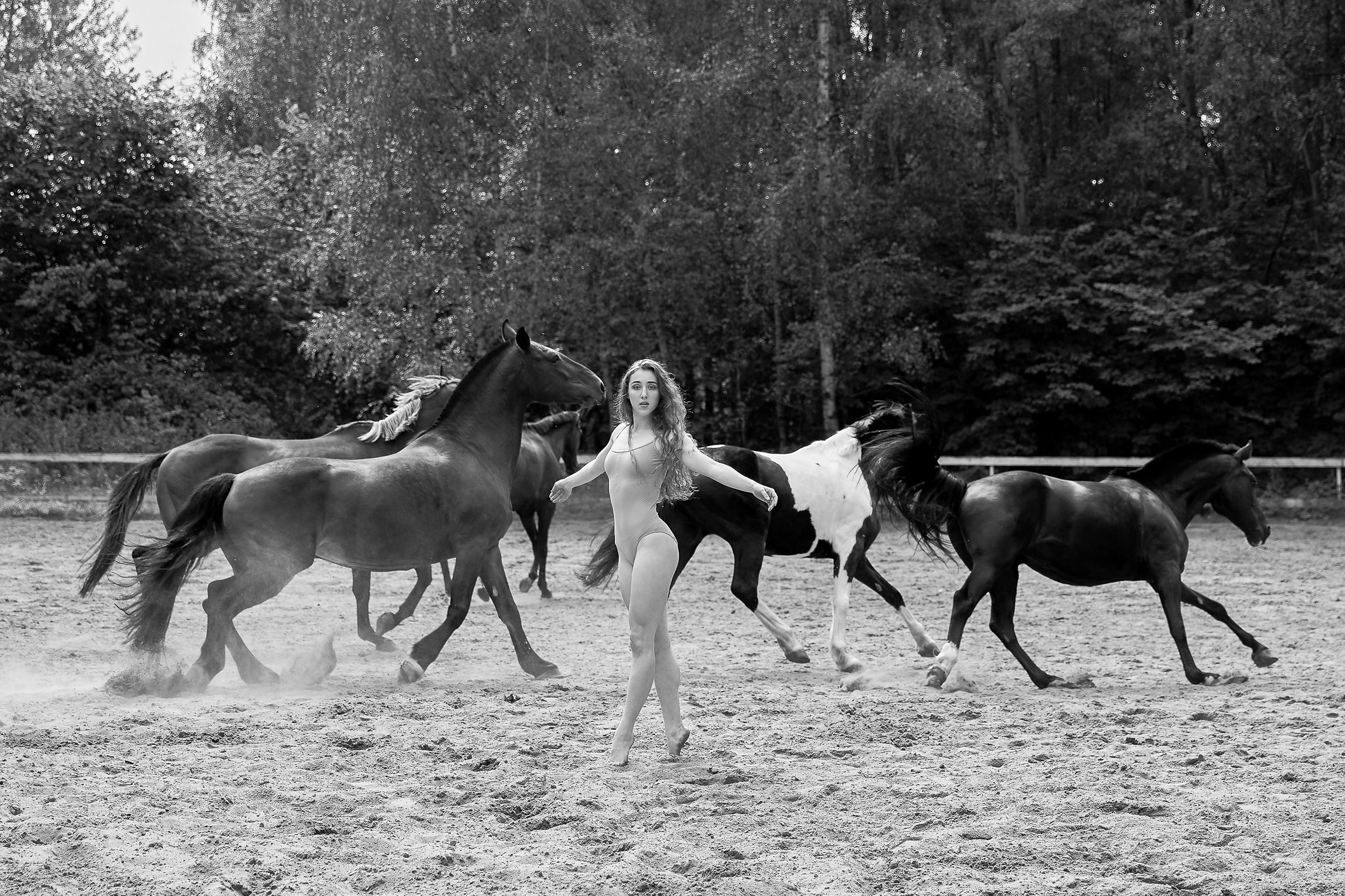 Фотопроекты и съемки на природе, с лошадьми, самолетами и авто. Выездная фотосессия. Фотограф, фотопроекты Михаила Семенова в Ярославле. Фотошкола