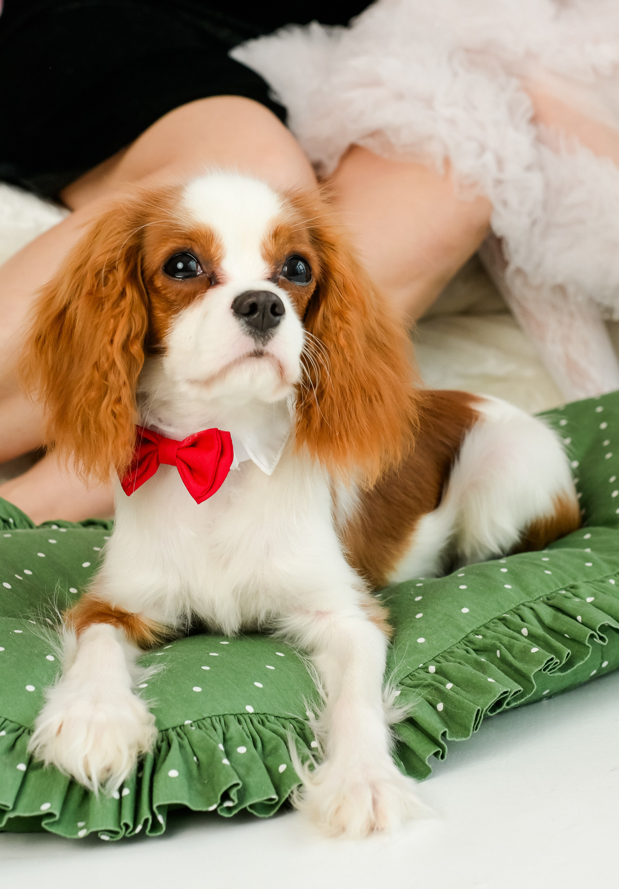 Семья Людмилы, Наиля и Мирры