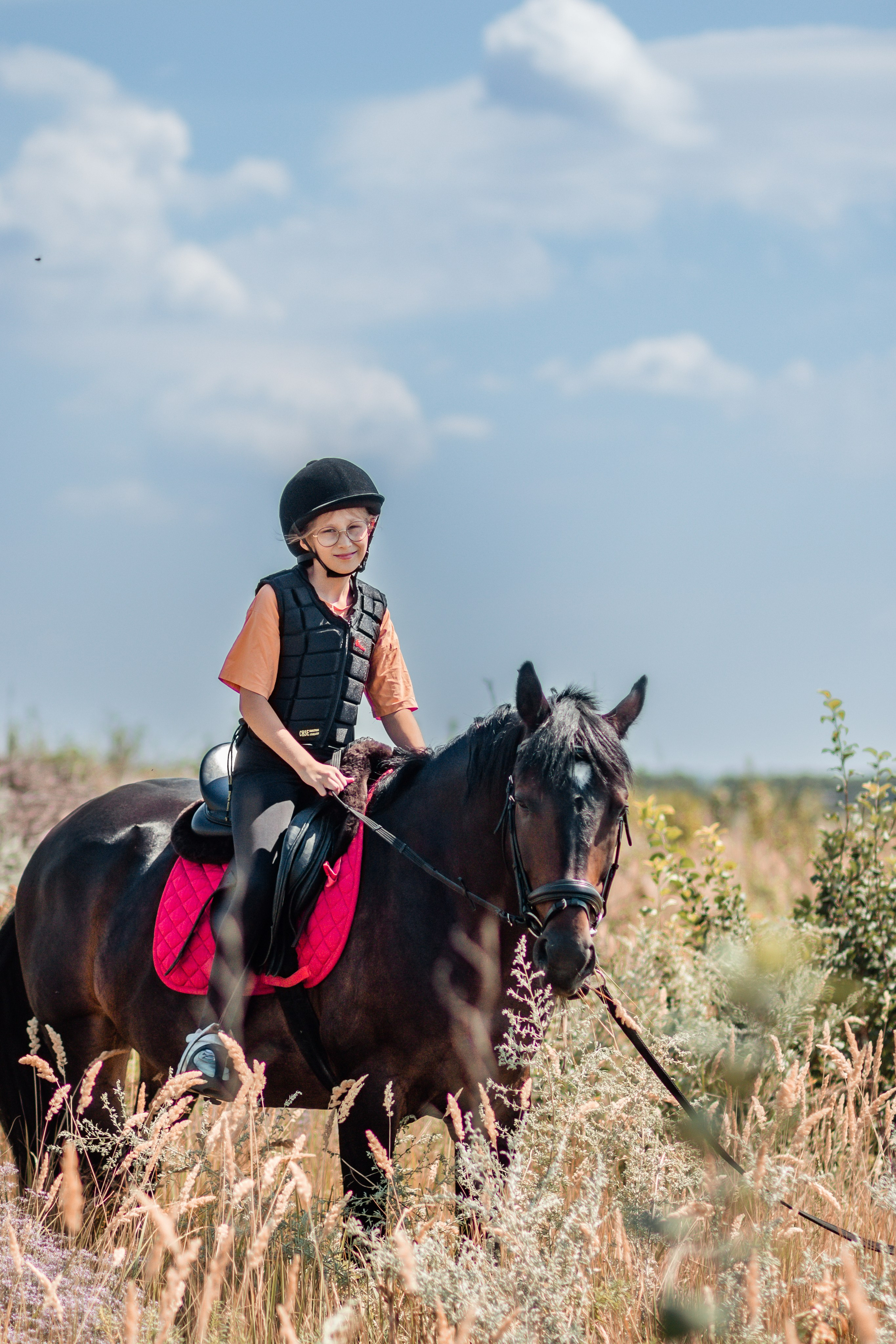 Выезды в поля на лошади
