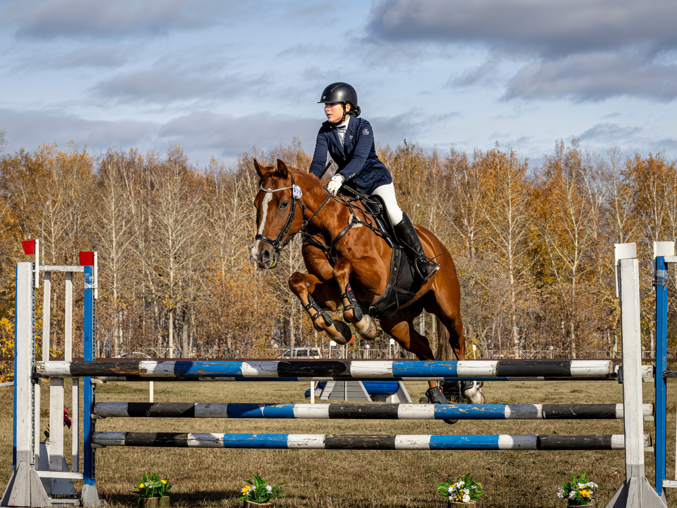 Конкур. Bertran Ordo