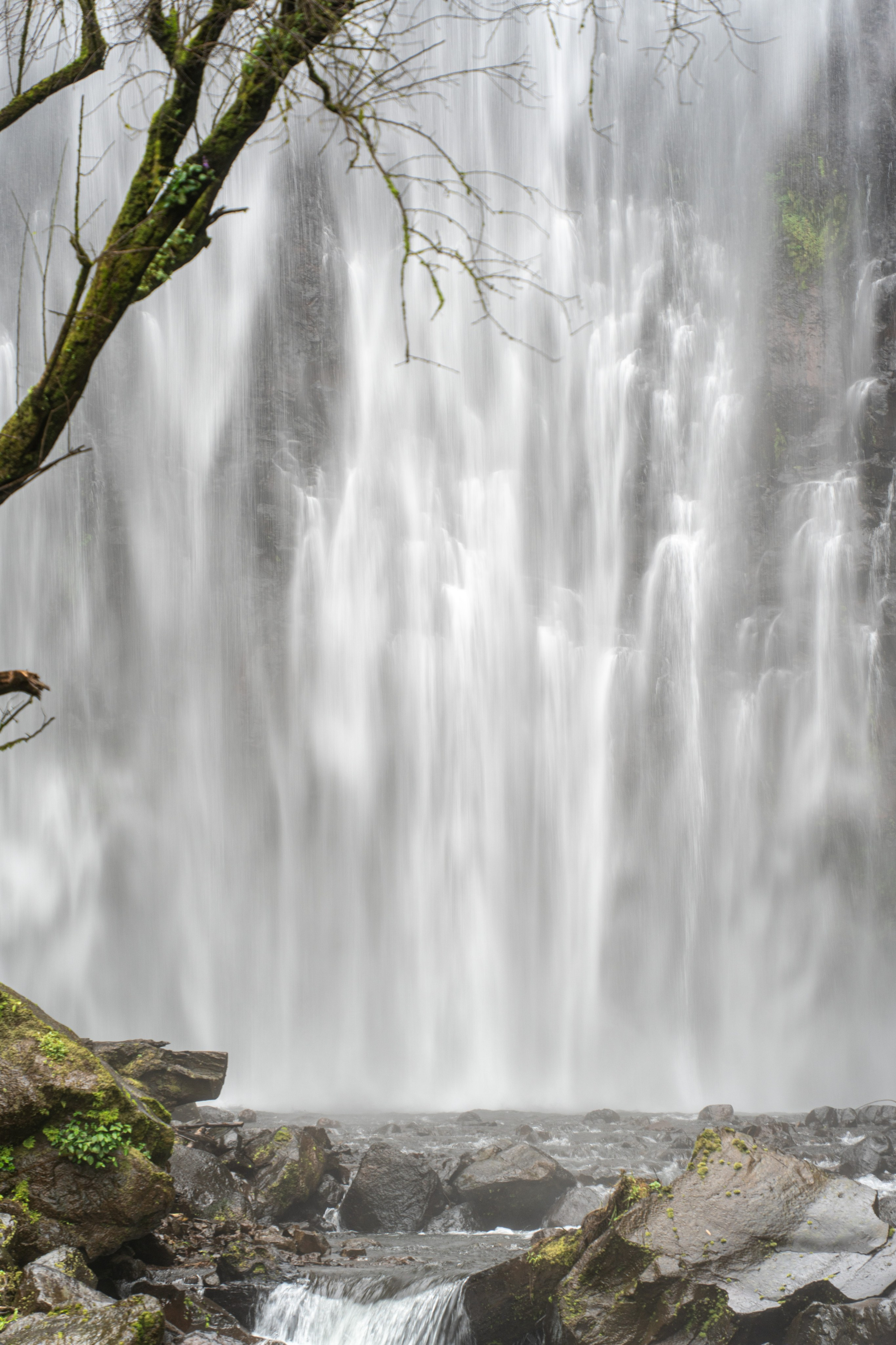 Танзания, сафари, 2025. Творческие сьемки