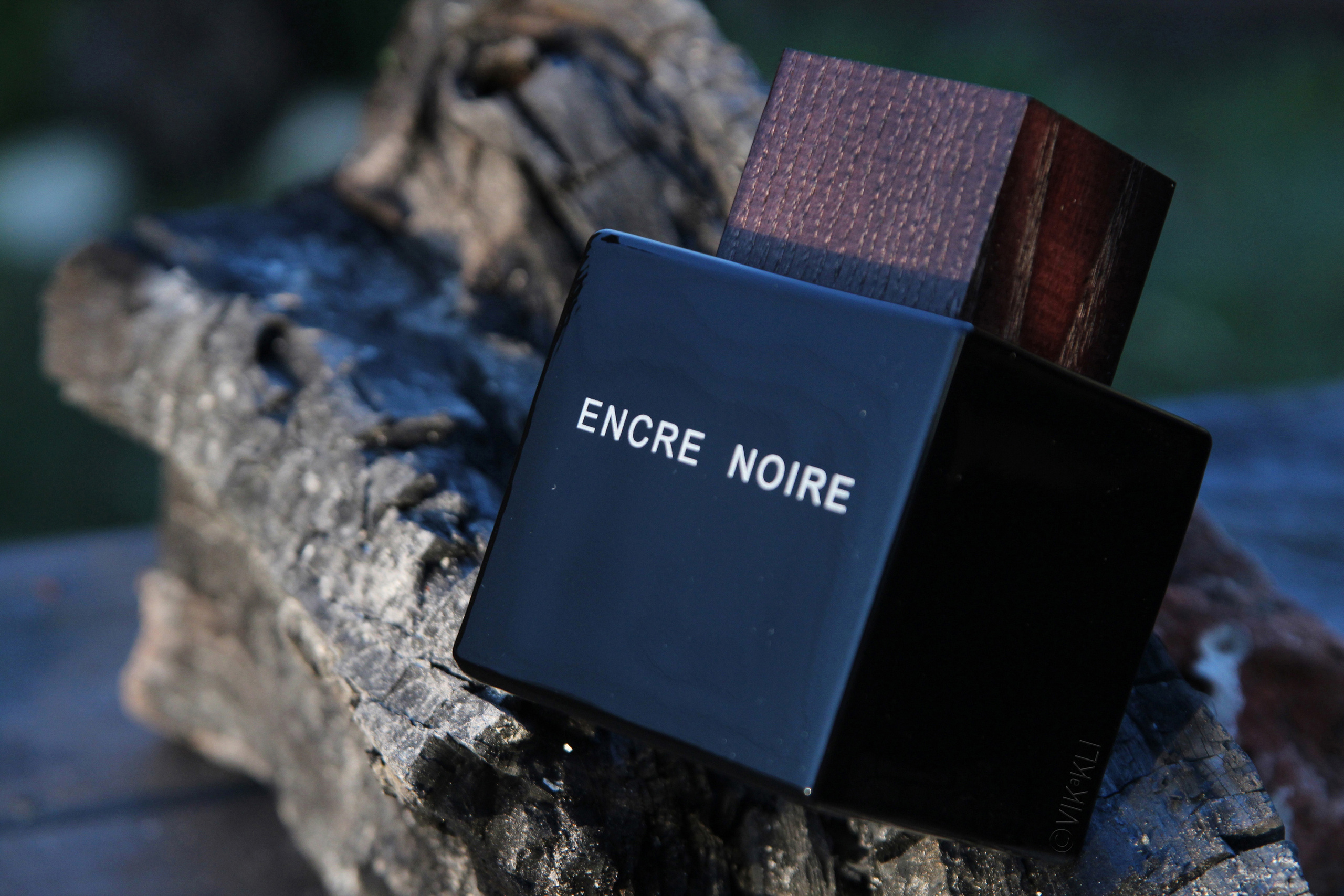 Духи Lalique Encre Noire на угле. Имиджевое фото.