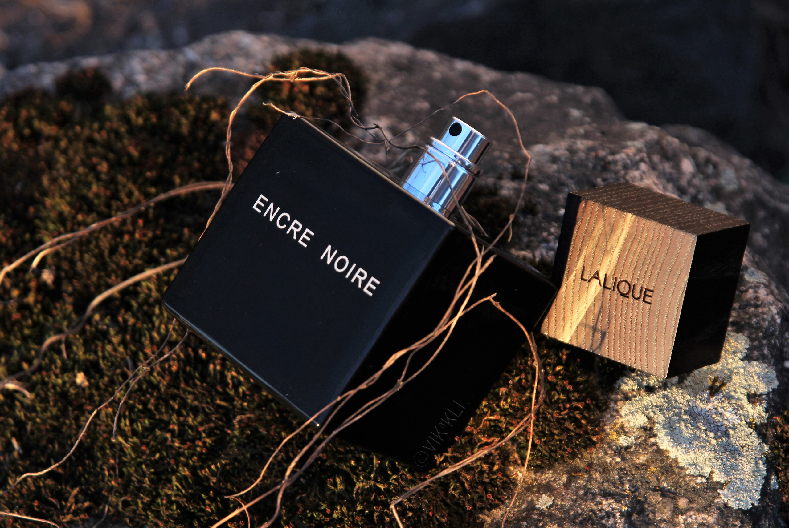 Духи Lalique Encre Noire на замшелом камне. Имиджевое фото.
