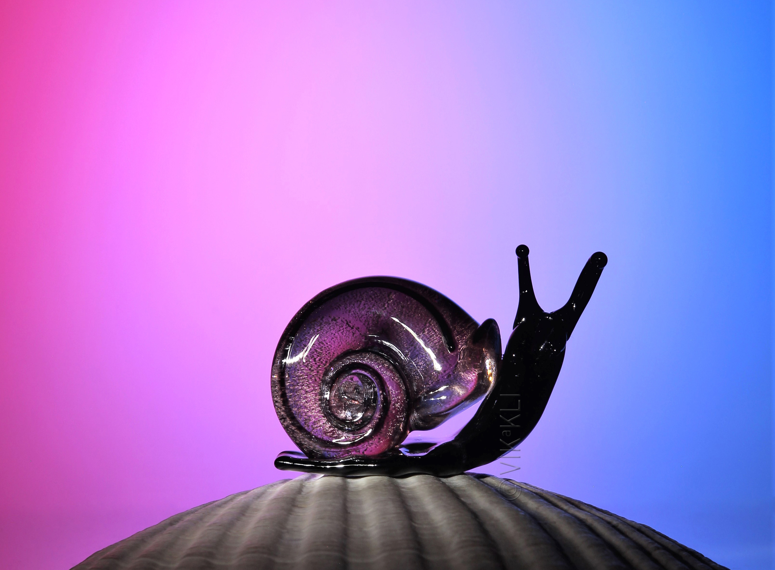 Улитка из муранского стекла на розово-голубом фоне. Предметное фото.