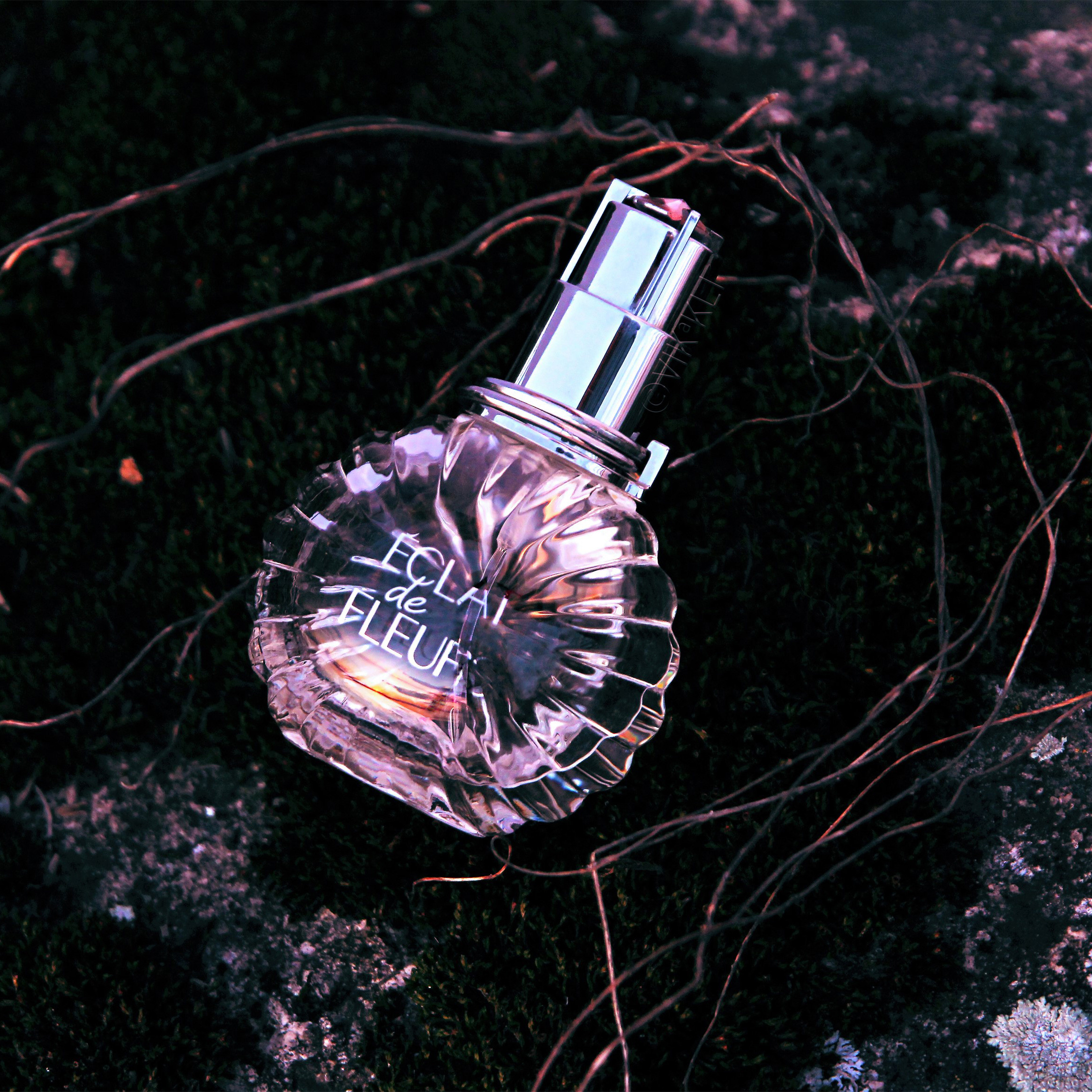 Духи Eclat de Fleurs на замшелом камне с отражением заката. Имиджевое фото.