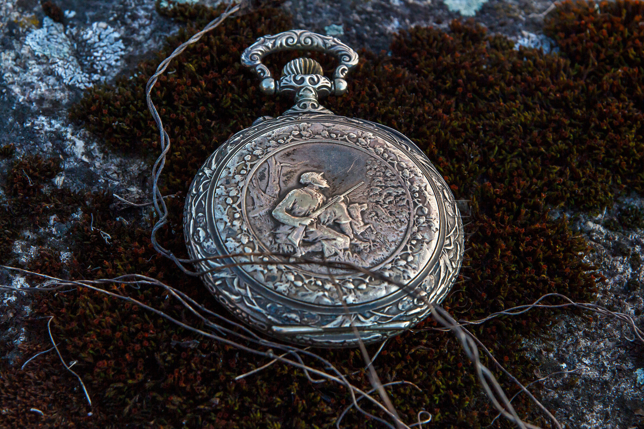 Антикварные часы DOXA Anti-Magnetique на замшелом камне. Имиджевое фото.