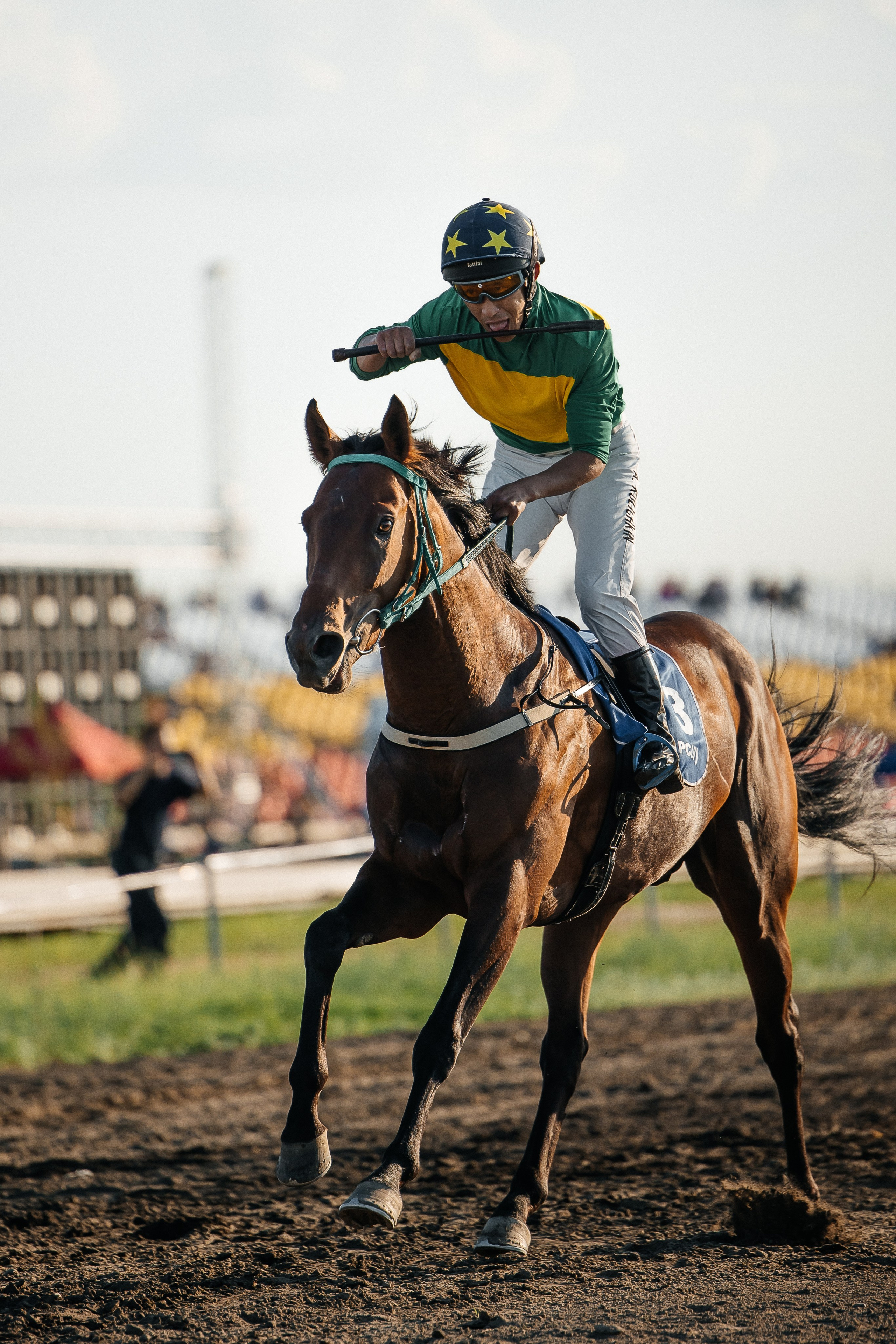 ПЕЙЗАЖ И ЛЮДИ. Саргылана Афанасьева