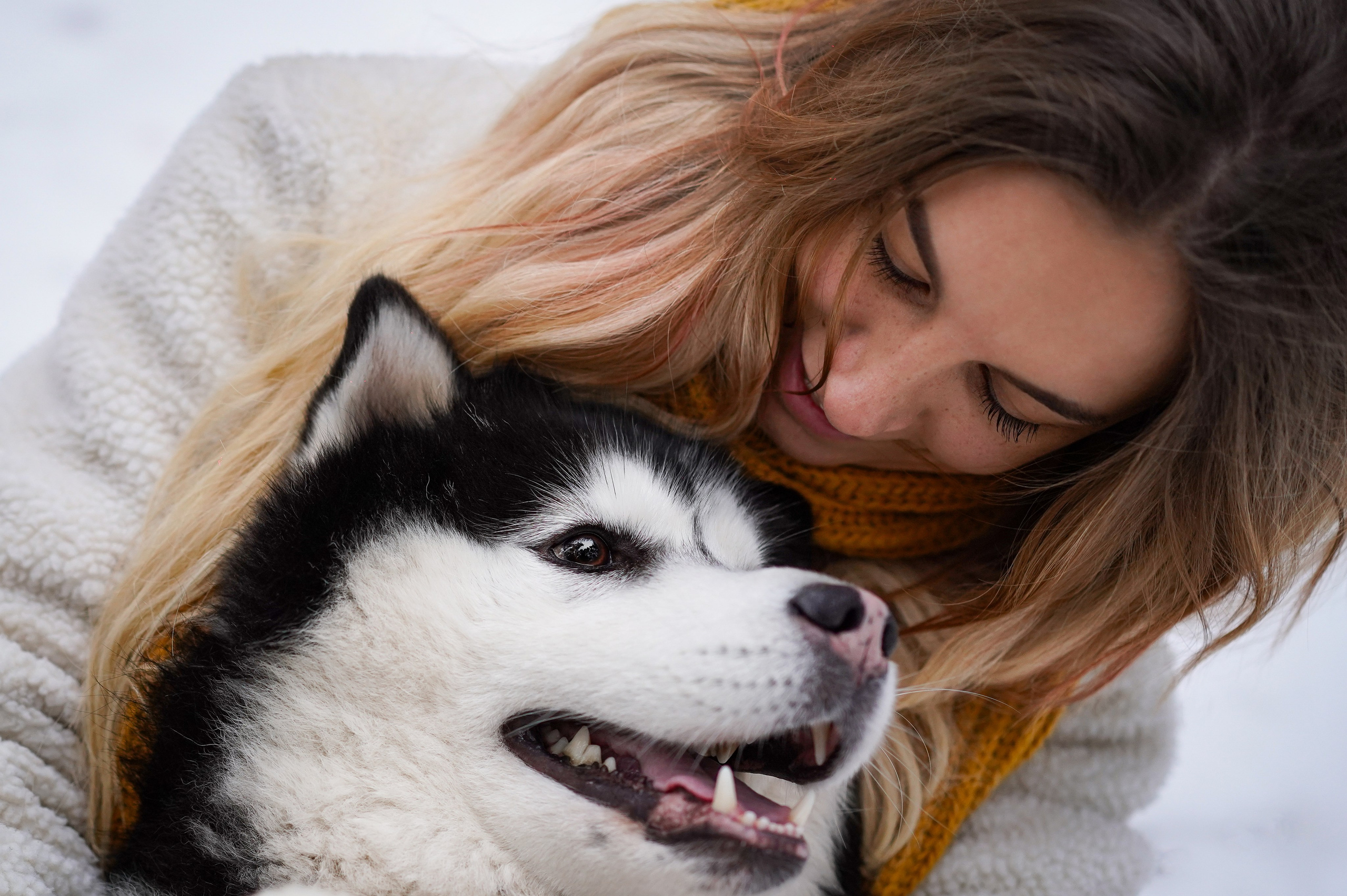 Лора Джанго и Хэппи. Фотограф-анималист в Санкт-Петербурге Яна Мартынова