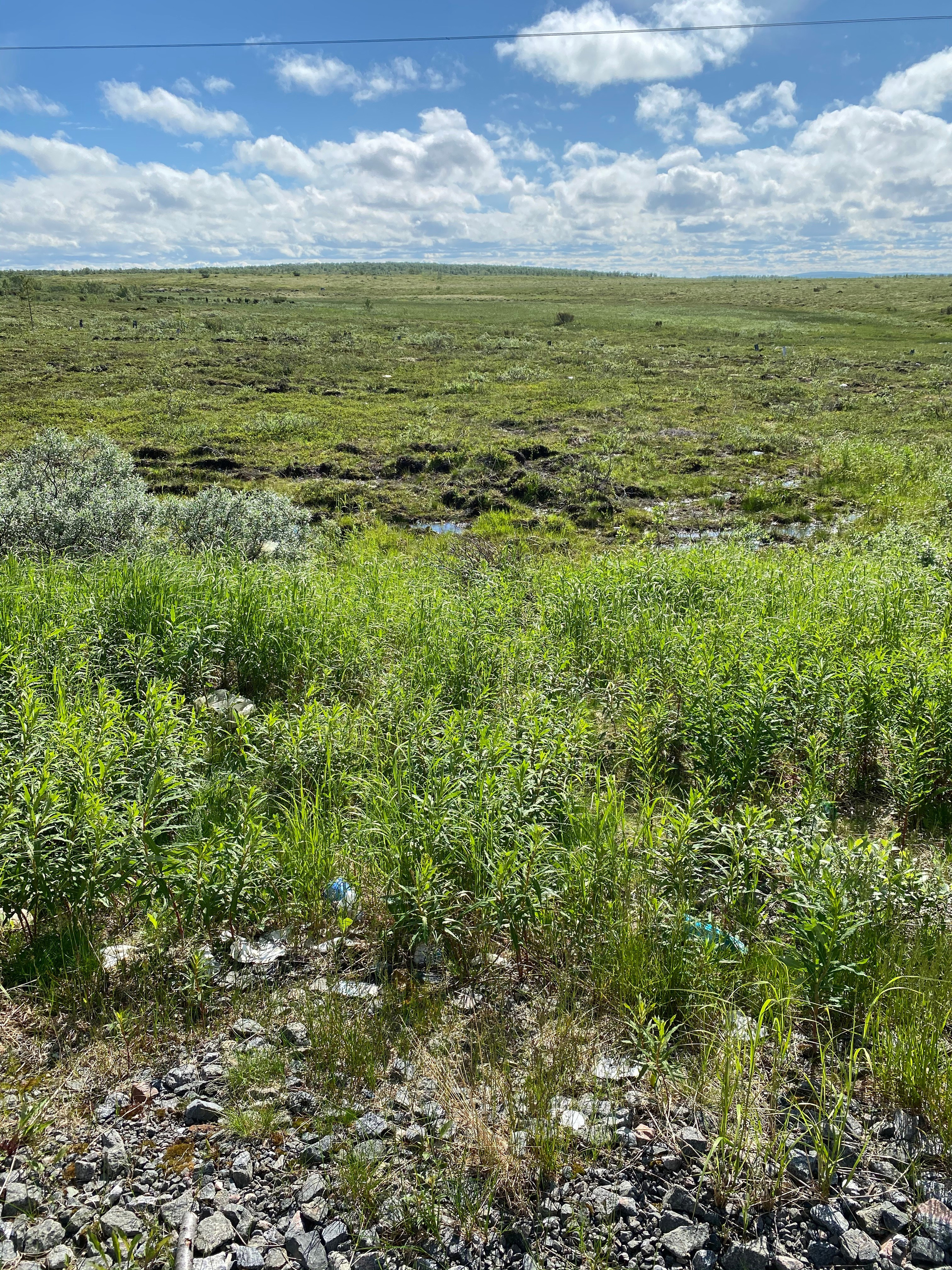 Териберка — 20. Своя Мастерская