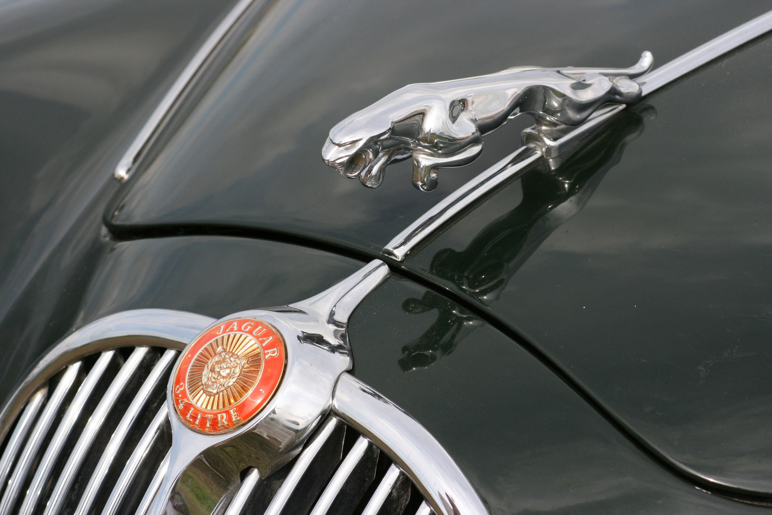 АвтоЭкзотика, Тушино. Главная