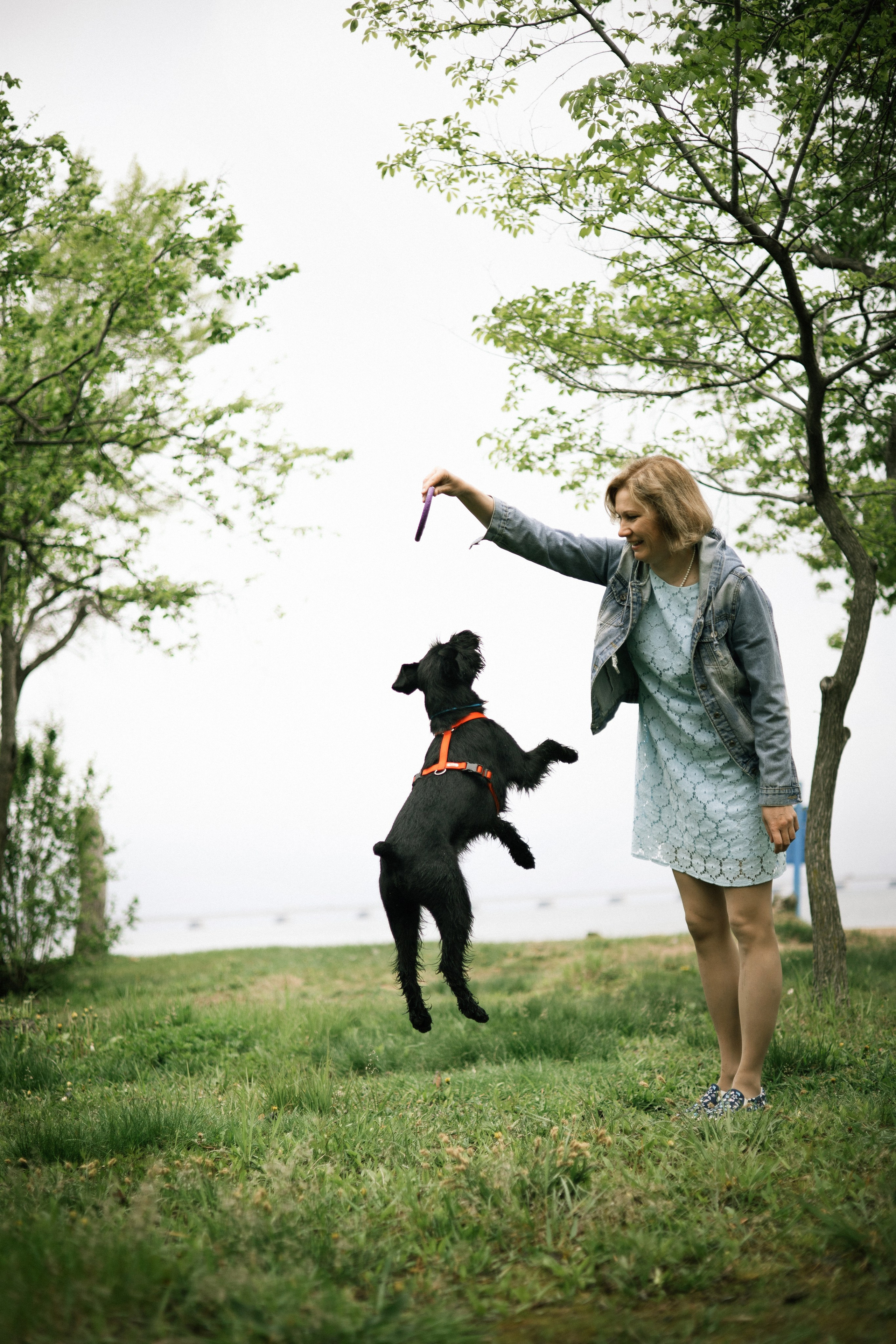 Екатерина и Вольт. Фотограф — анималист Владивосток, Алина