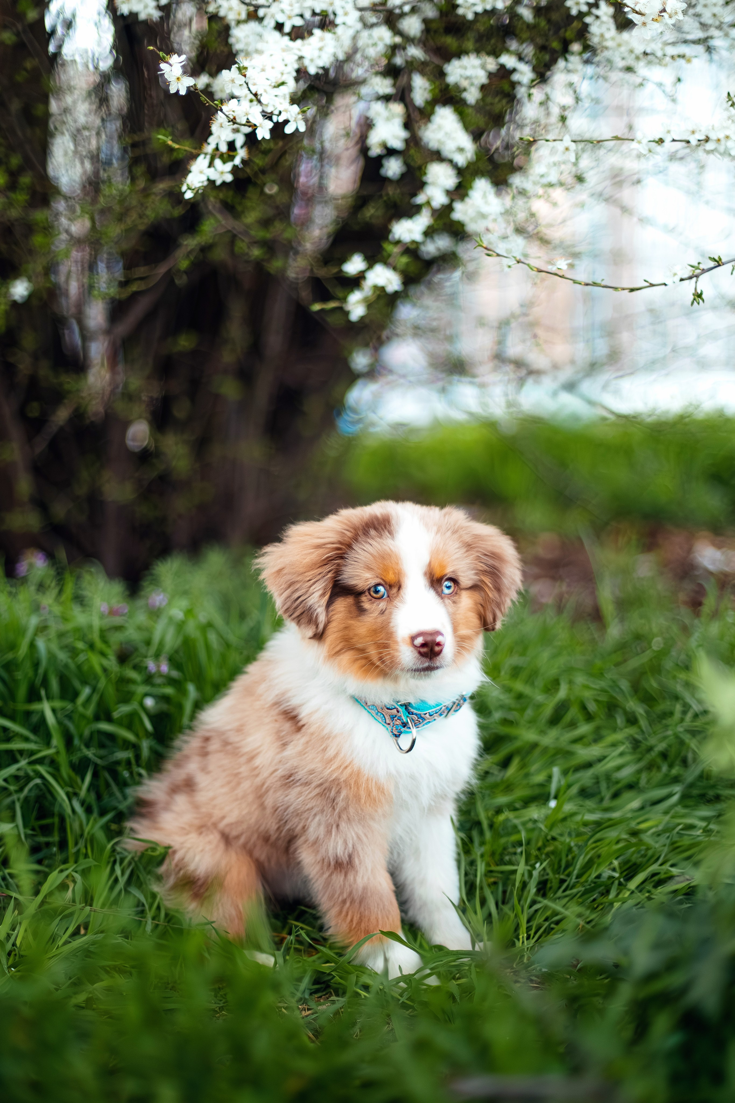 Фотопрогулка. Фотограф Марина Верятинская | Краснодар