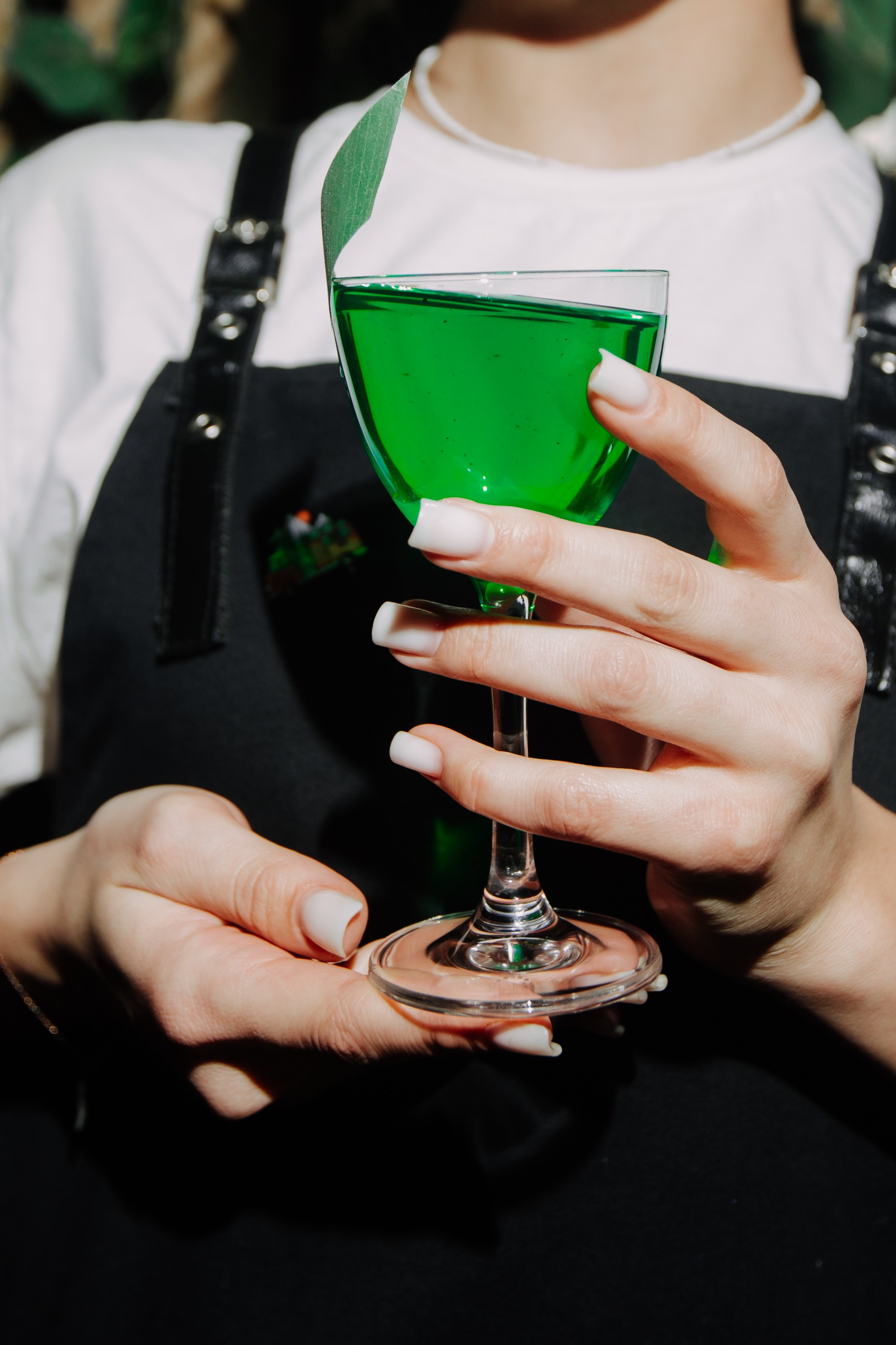 Garden Lounge / Cocktail. Home