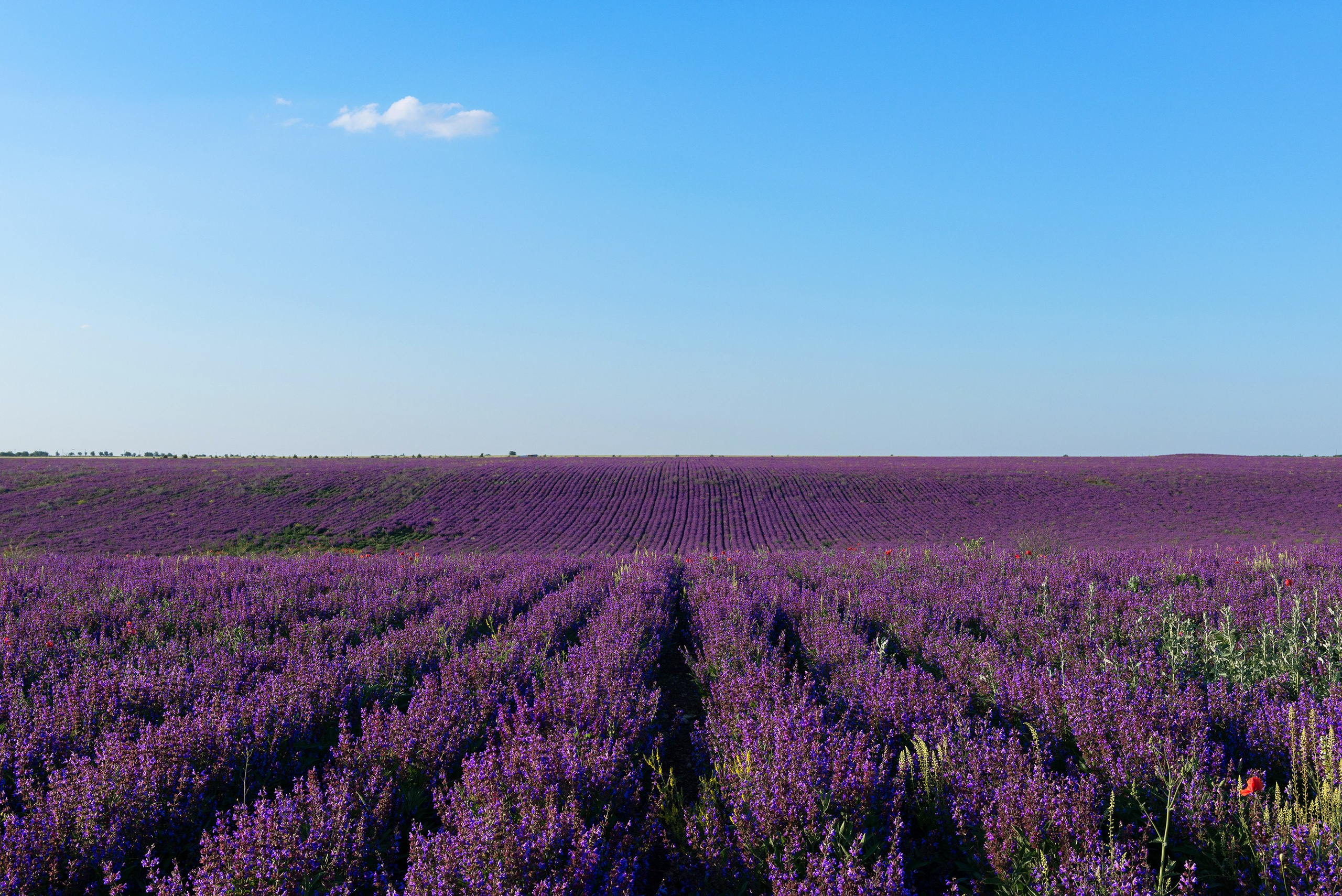 Путешествия. Спортивный фотограф в Ростовской области Анжела Гринченкова
