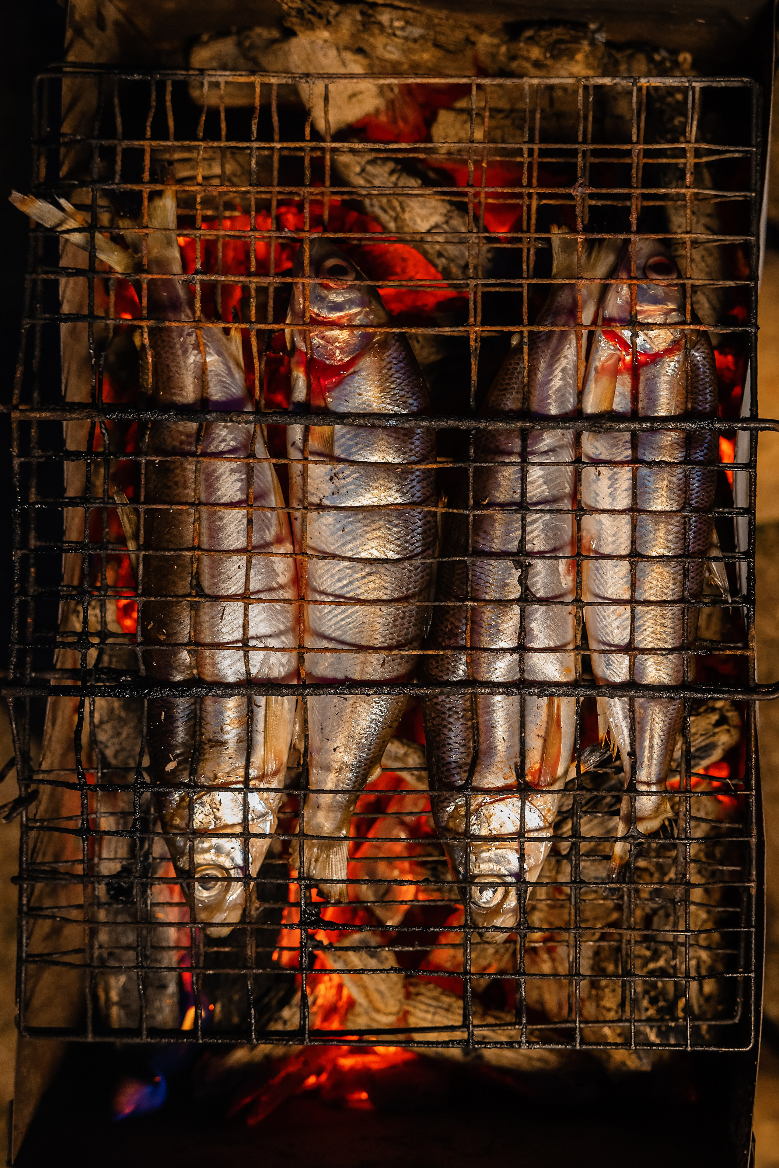 @Artel.Baikal. Фотограф и видеограф в Улан-Удэ: Аюна Габагуева и Артём Шаханов