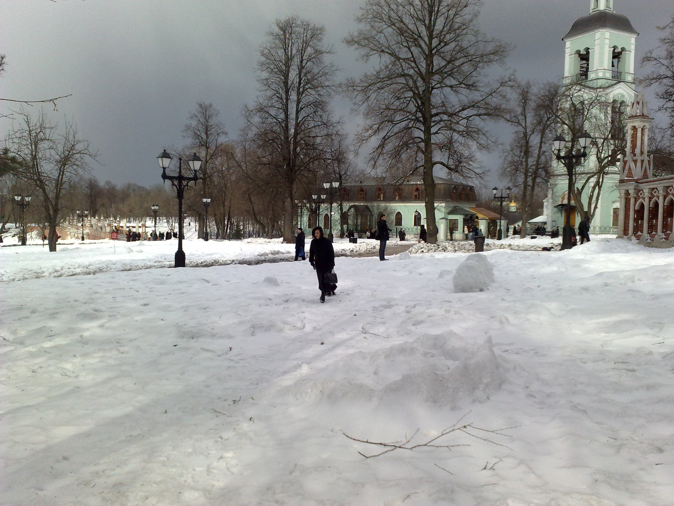 Царицино музей-усадьба. Питомник китайских хохлатых собак Poale Ell: купить щенка в питомнике