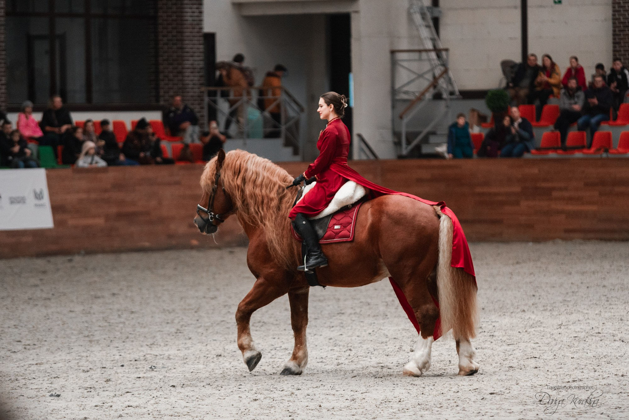 8-я международная выставка Конная Россия. Конный фотограф Куракина Дарья • Фотосессии с лошадьми