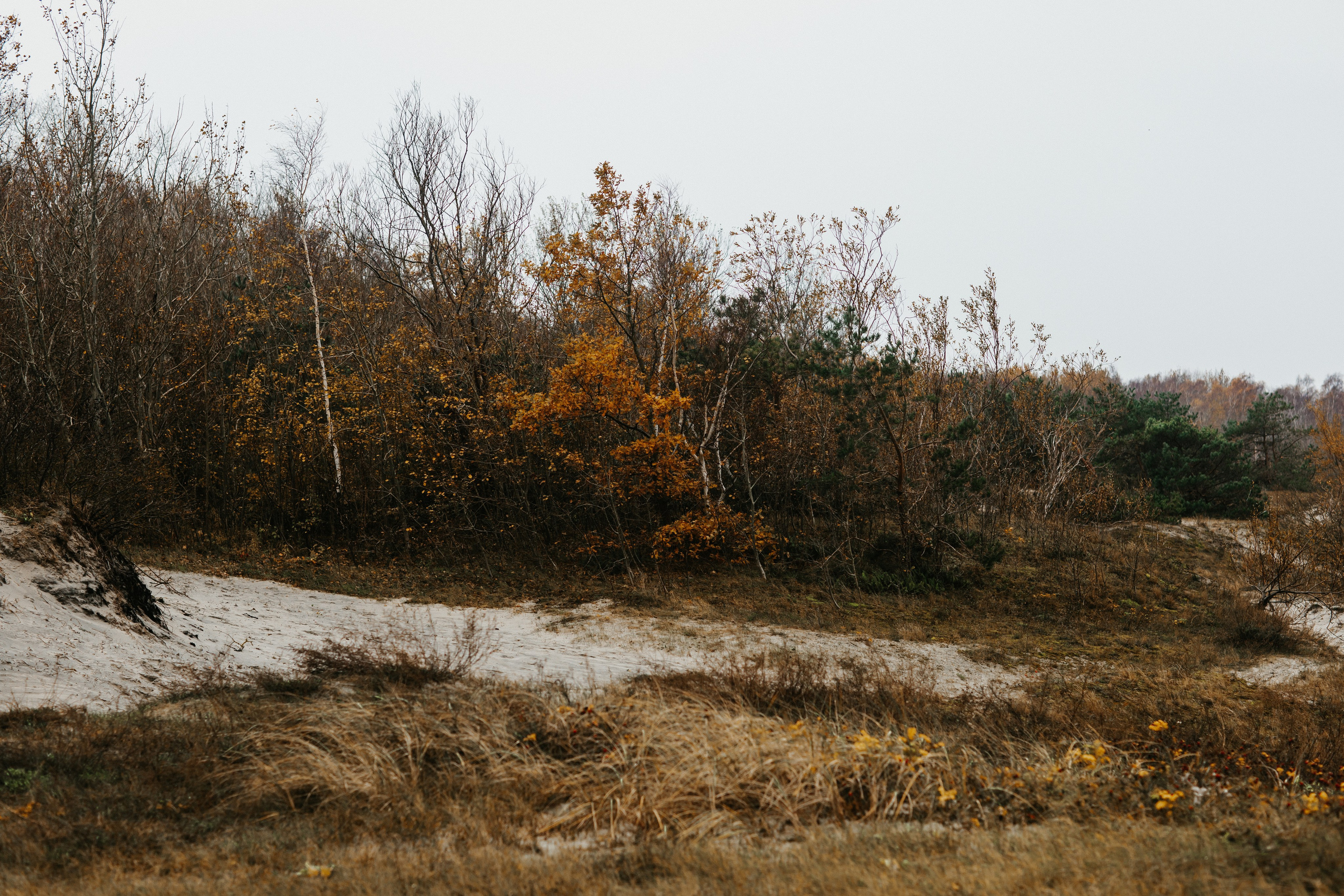 Фотосессия в Балтийске. Https://malovafoto.ru