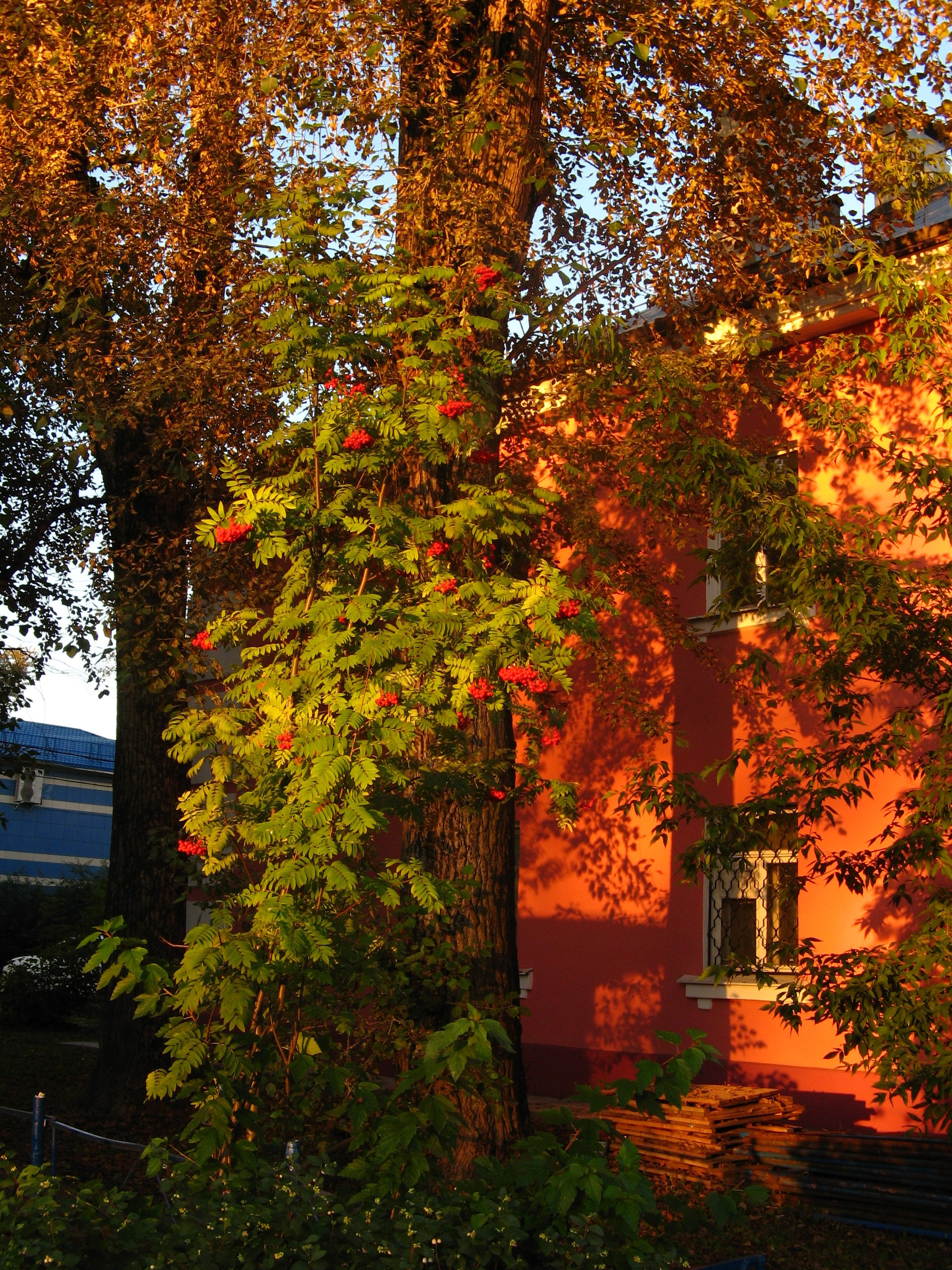 Сентябрь 2025. Den Mirov — Фотограф, Музыкант