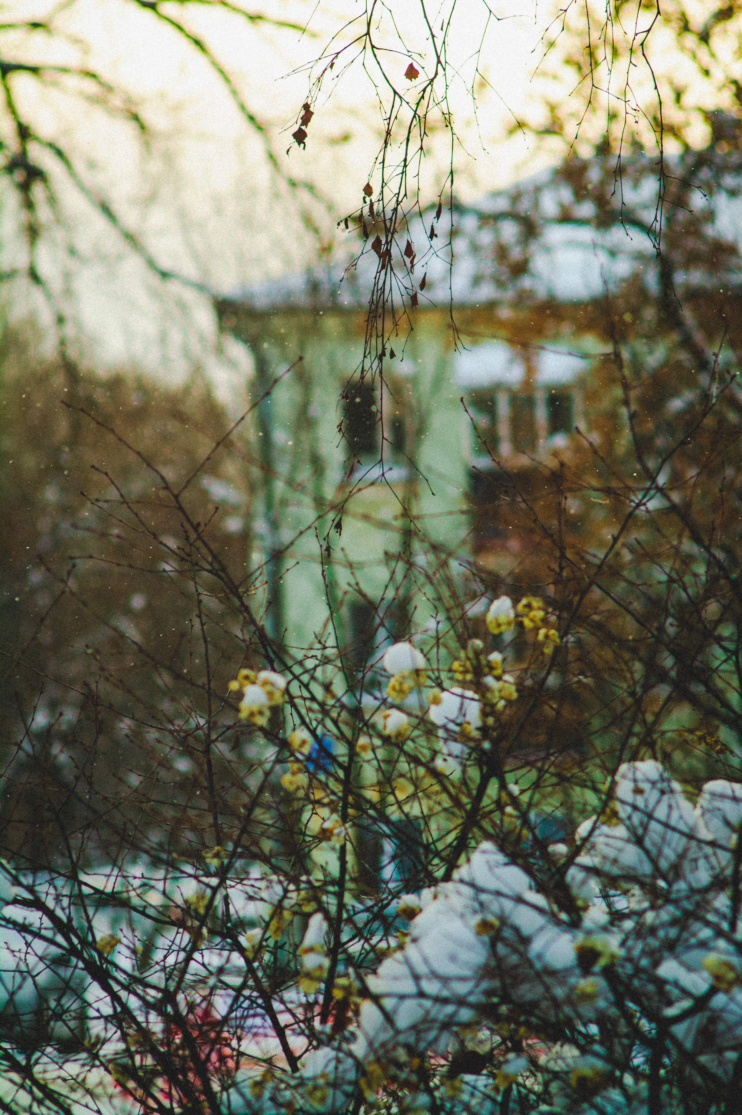 Обед. Den Mirov — Фотограф, Музыкант