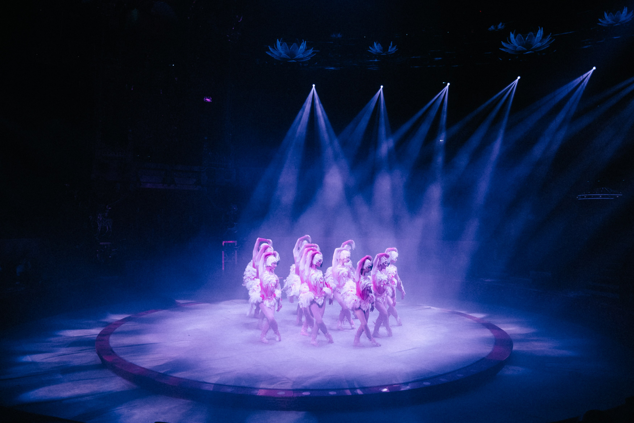 Королевский Цирк Гии Эрадзе. Репортажный и портретный фотограф в Санкт-Петербурге Степлевич Дарья